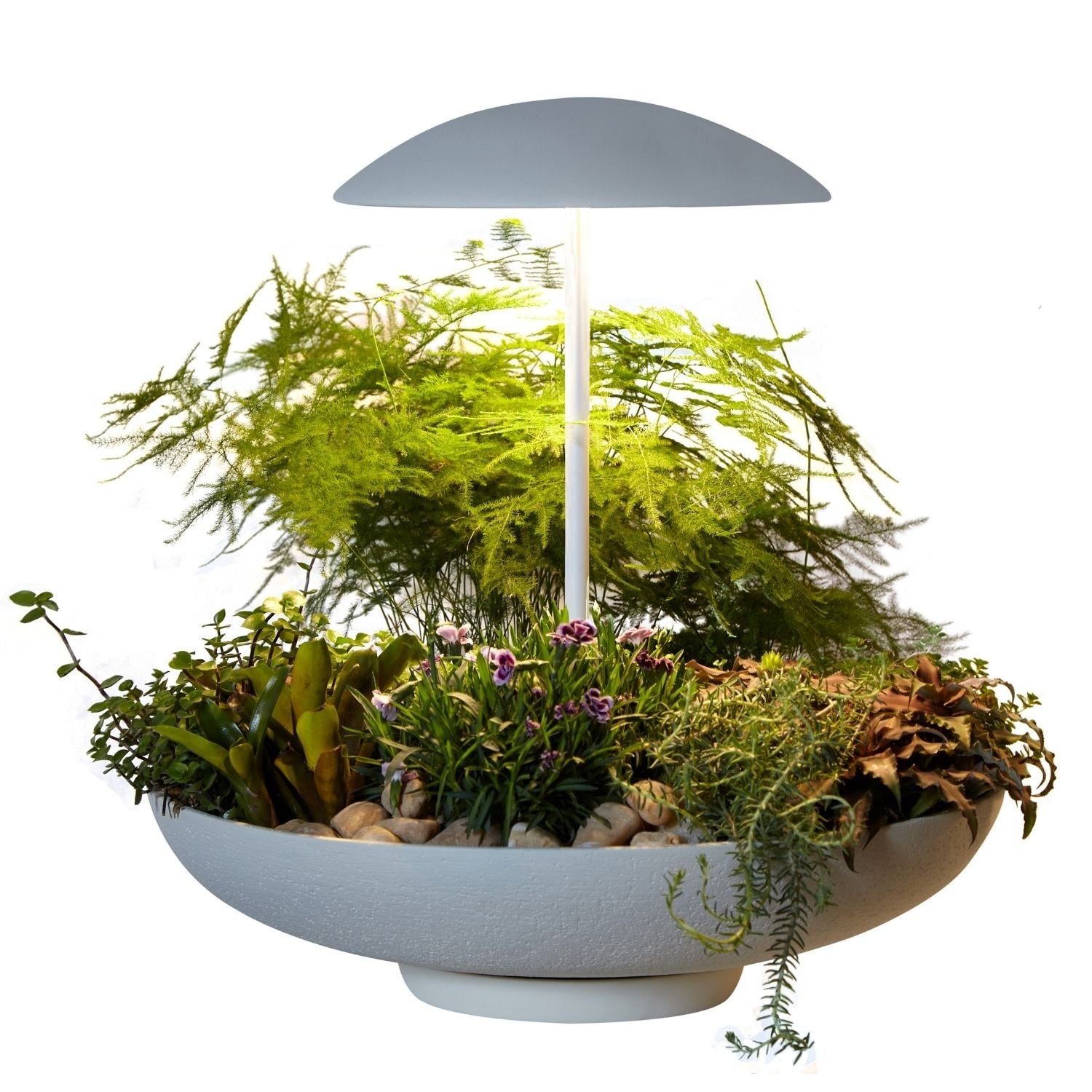 Lampe de table DEL | Garden II