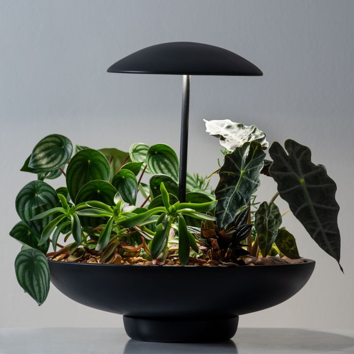 Lampe de table DEL | Garden II