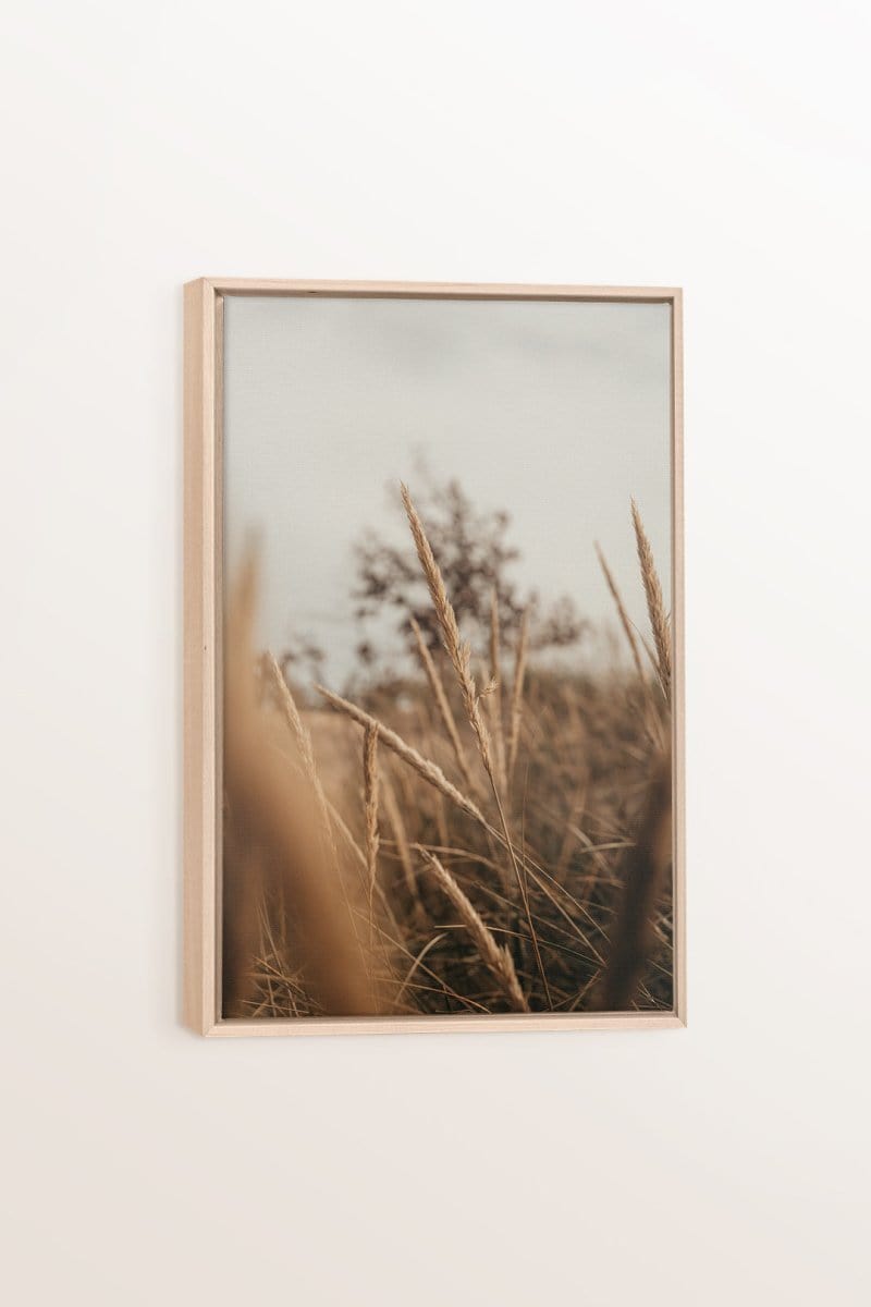 WHEAT, Oeuvre sur toile étirée