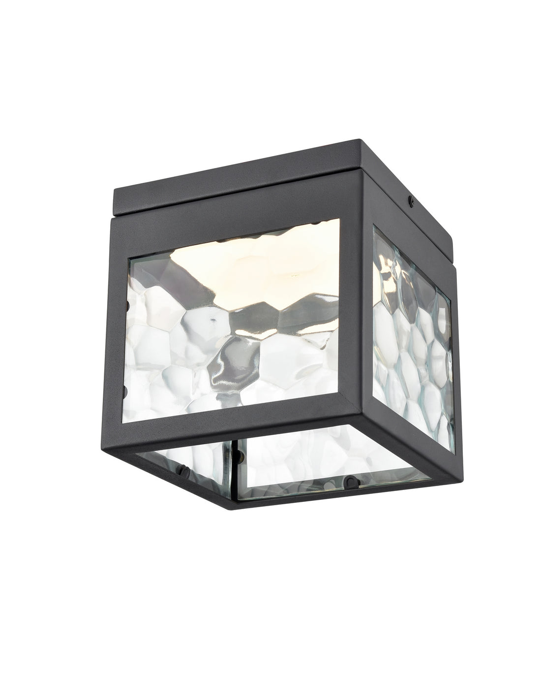 Plafonnier DEL | Bishop Led Outdoor