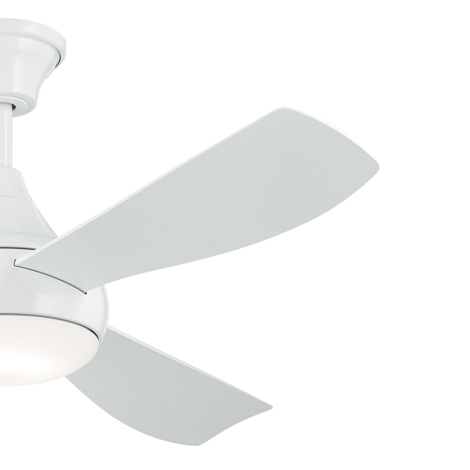 Ventilateur de plafond 54 po | Ample