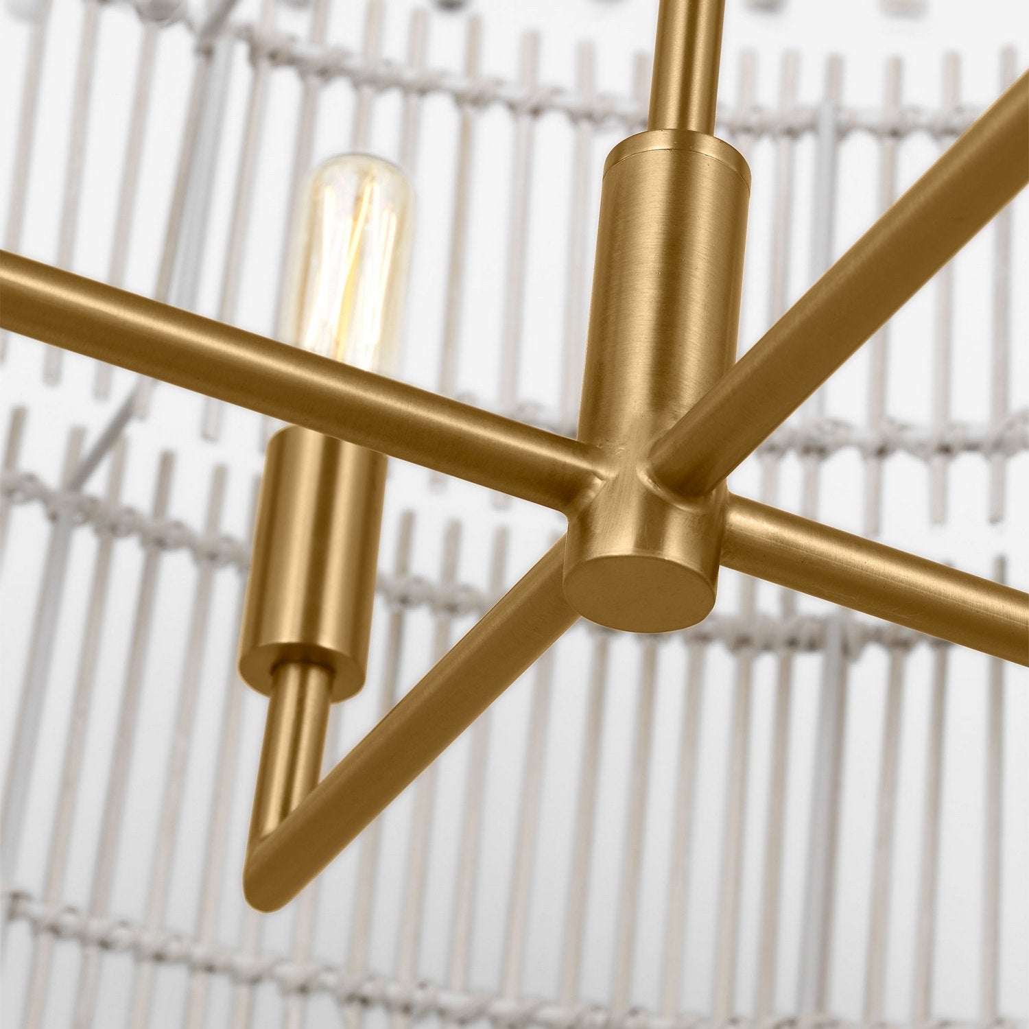 Suspension 4 lumières | Elio