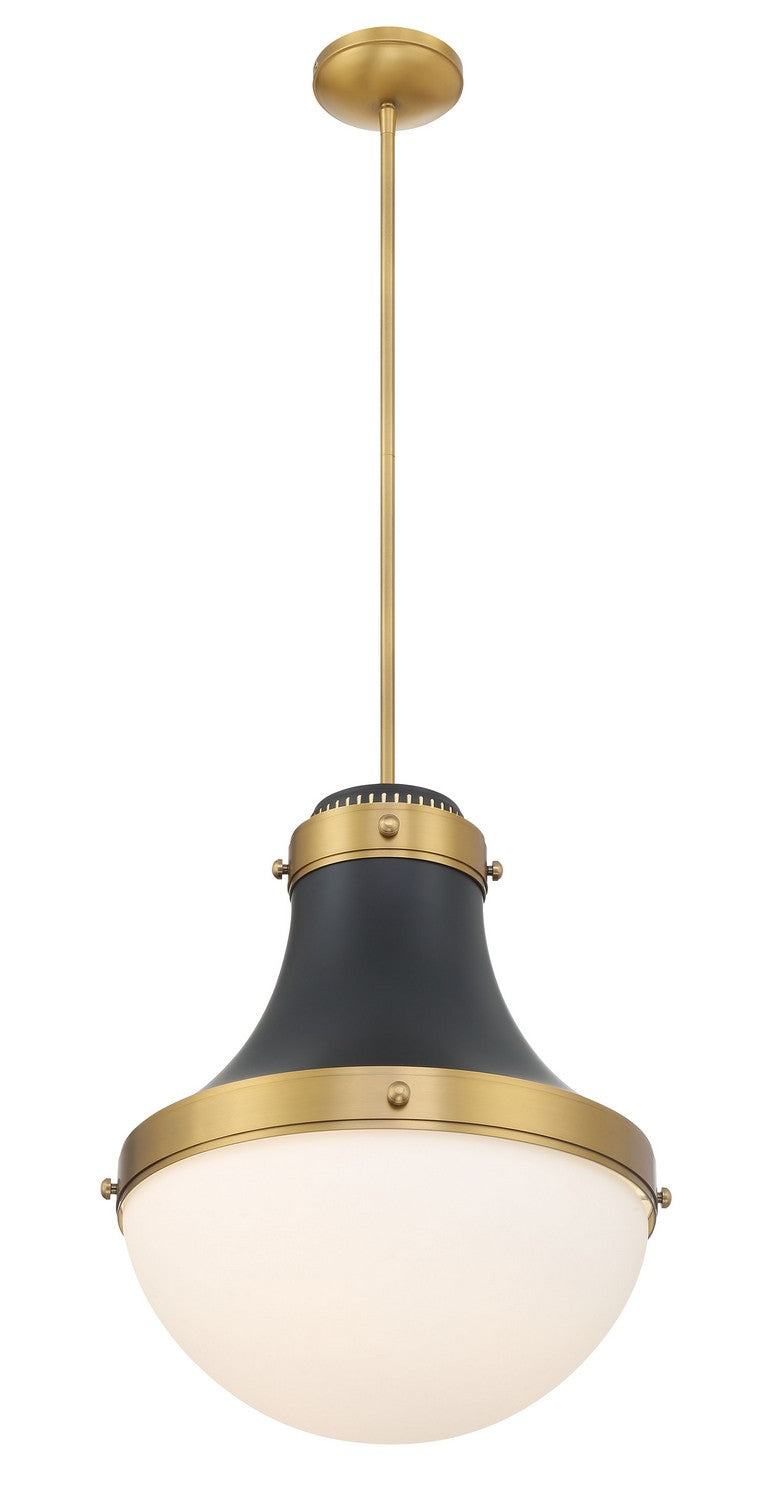 Suspension 1 lumière | Purelight