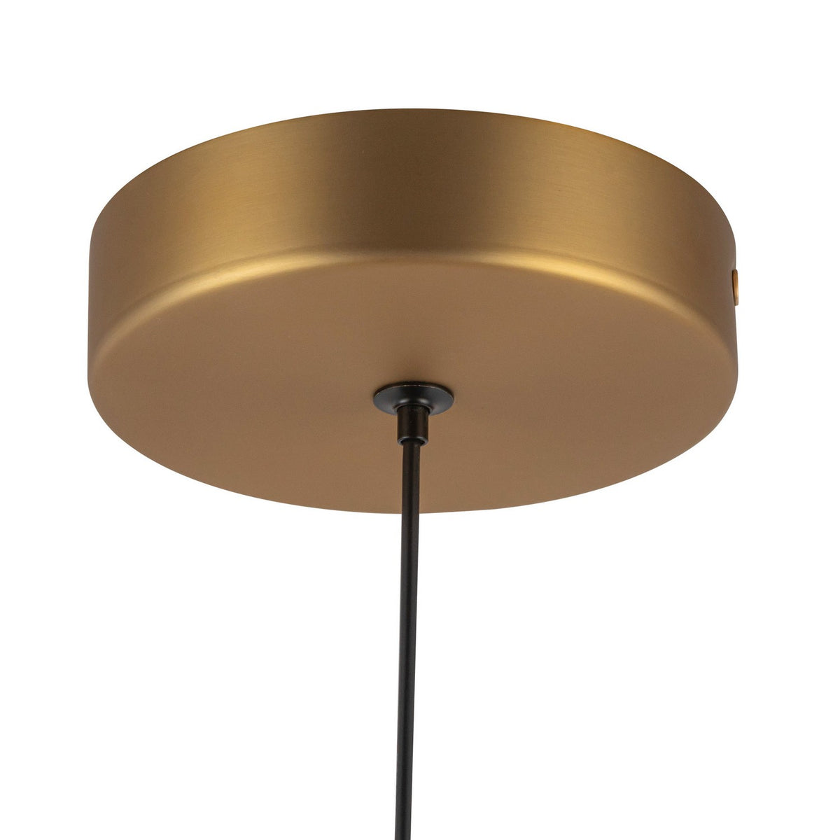 Suspension DEL | Arden