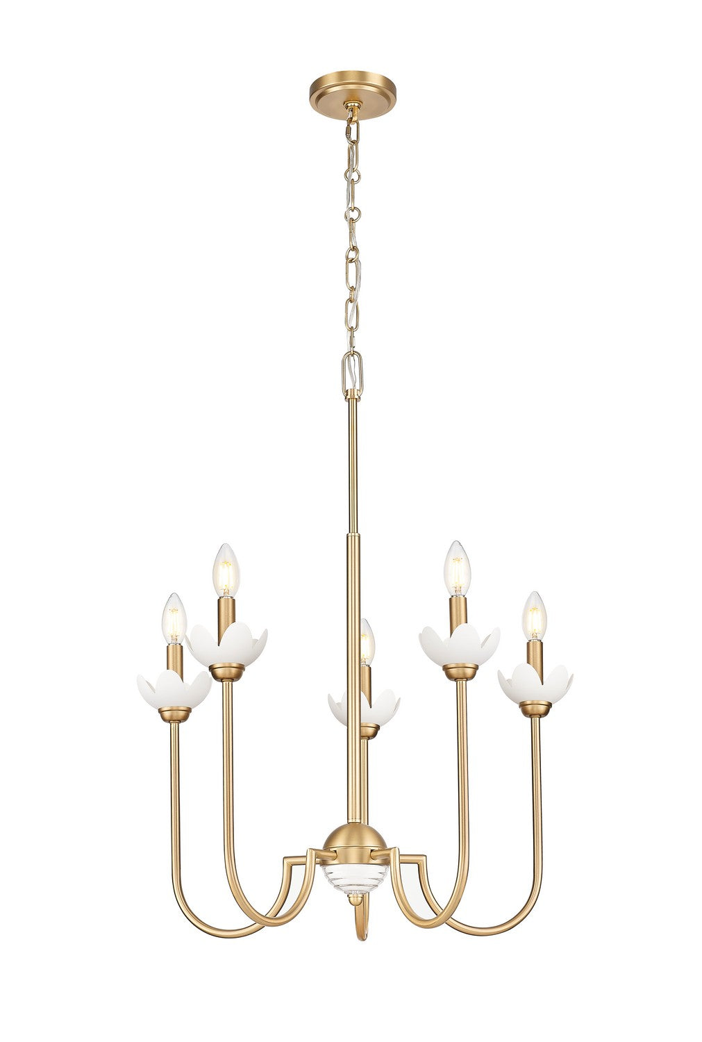 Lustre 5 lumières | Allistair