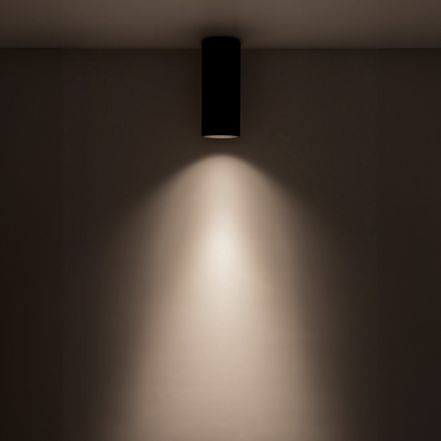 Plafonnier DEL | Lorna