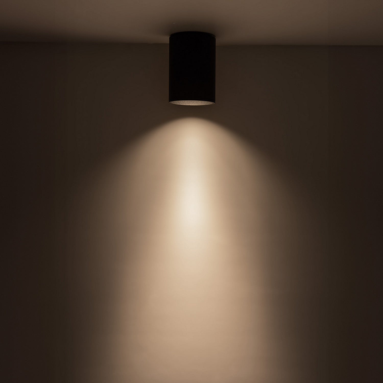 Plafonnier DEL | Lorna