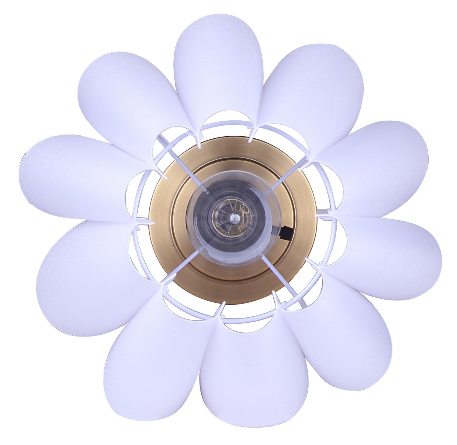 Lampe de table 1 lumière | Iris