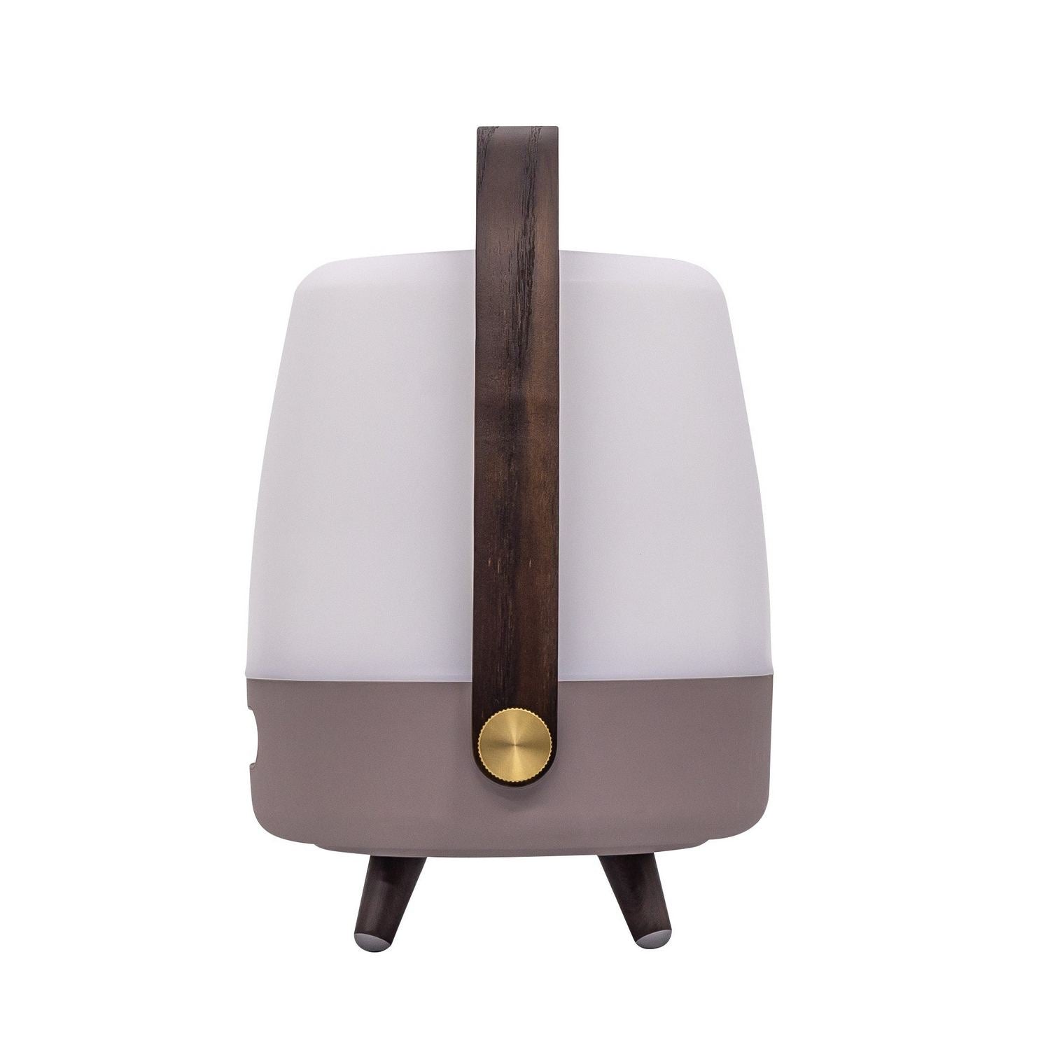 Lampe avec haut-parleur DEL | Lite Up Play Mini