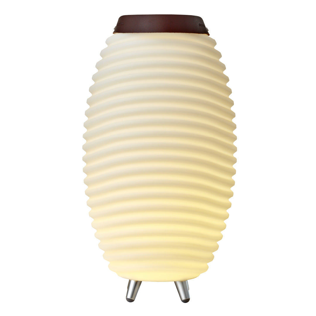 Lampe avec haut-parleur DEL | Synergy