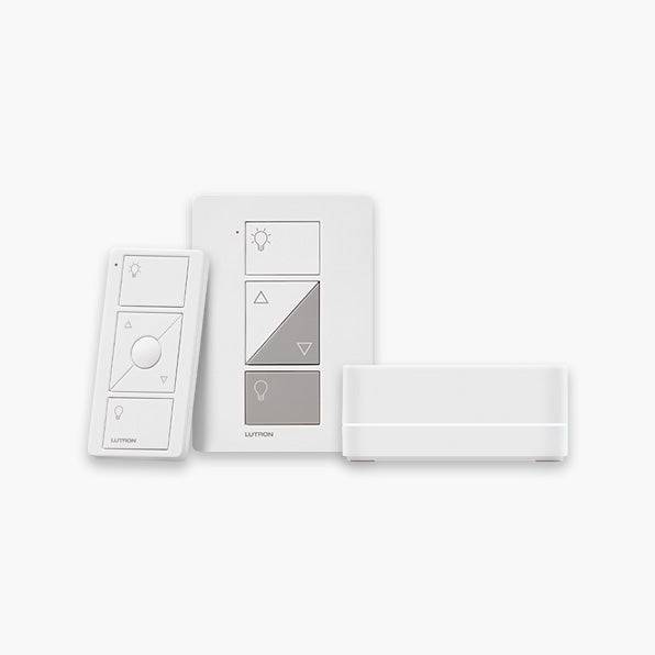 300W RF PLUG-IN/REMOTECSA