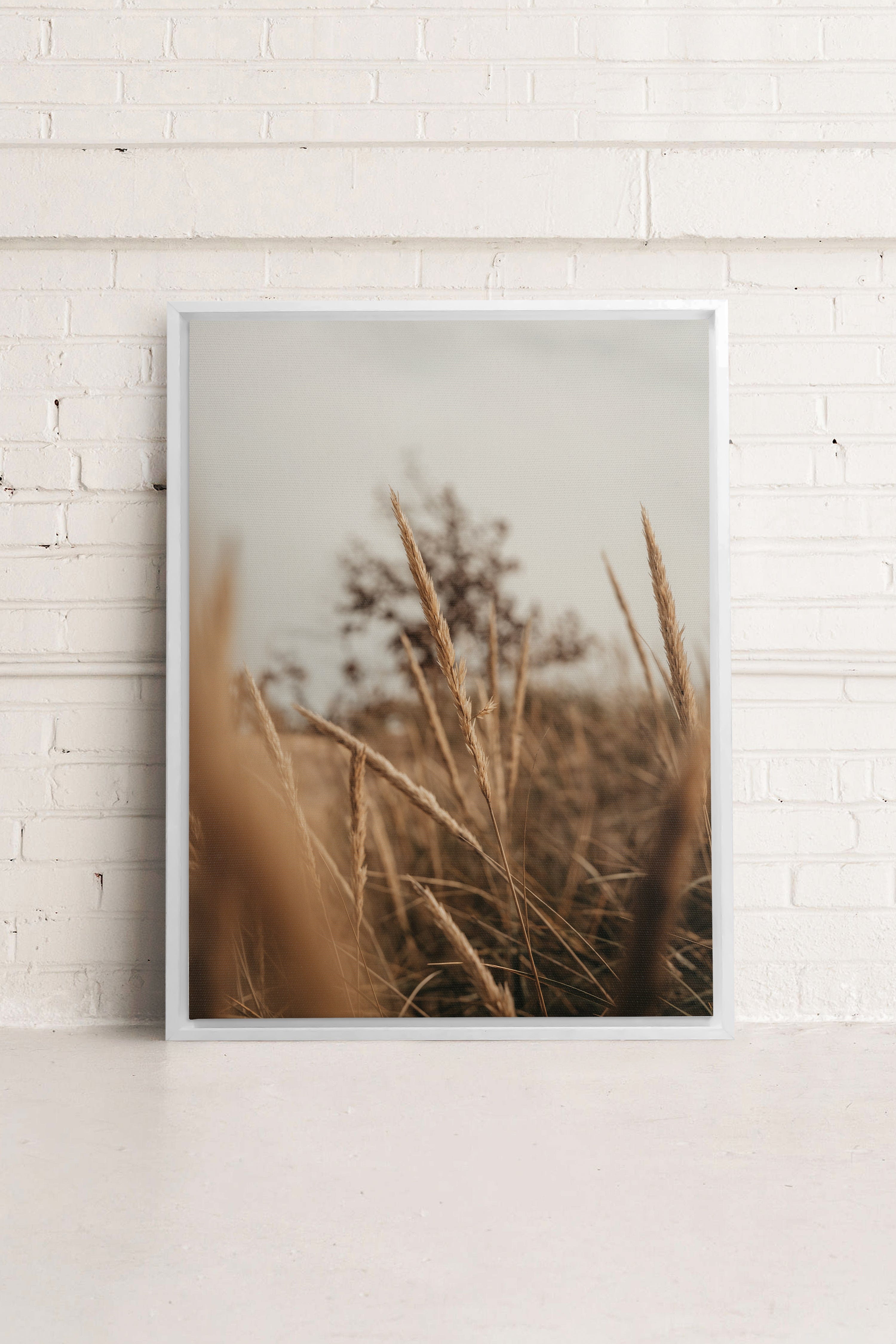 WHEAT, Oeuvre sur toile étirée