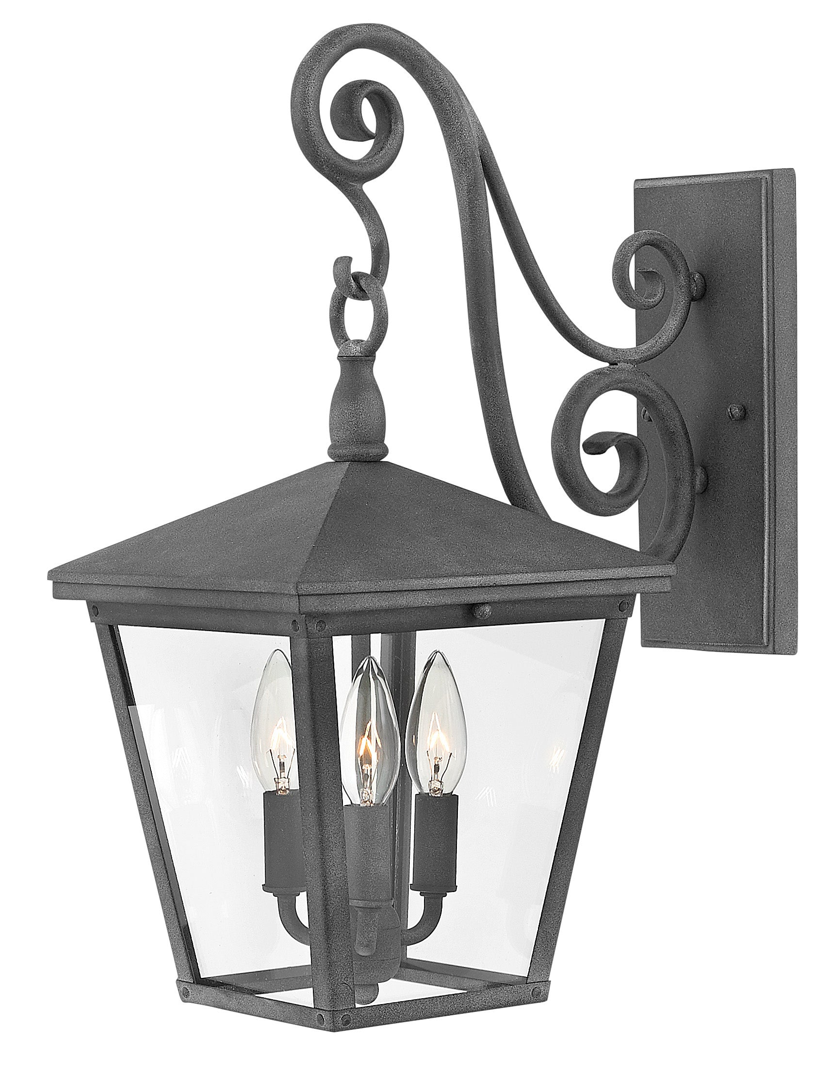 TRELLIS Outdoor sconce Black - 1434DZ-LL | HINKLEY