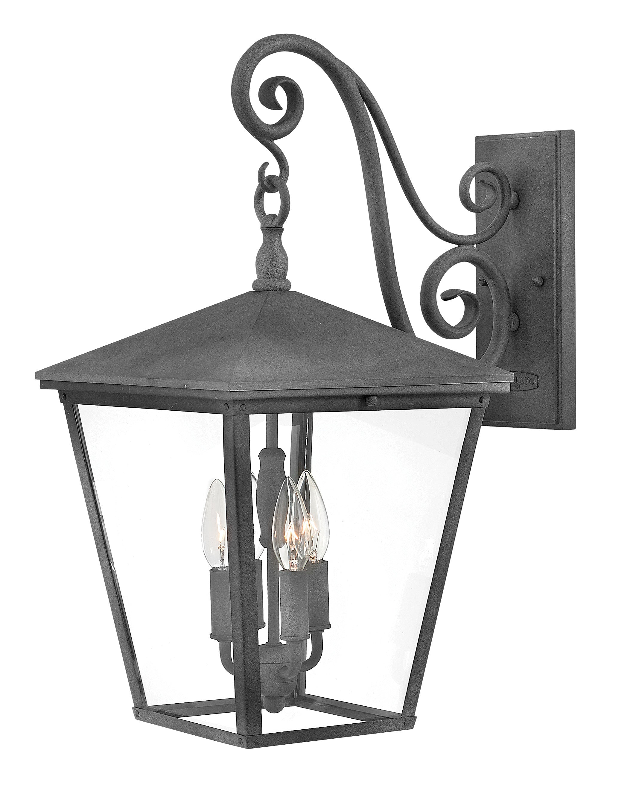 TRELLIS Outdoor sconce Black - 1435DZ | HINKLEY