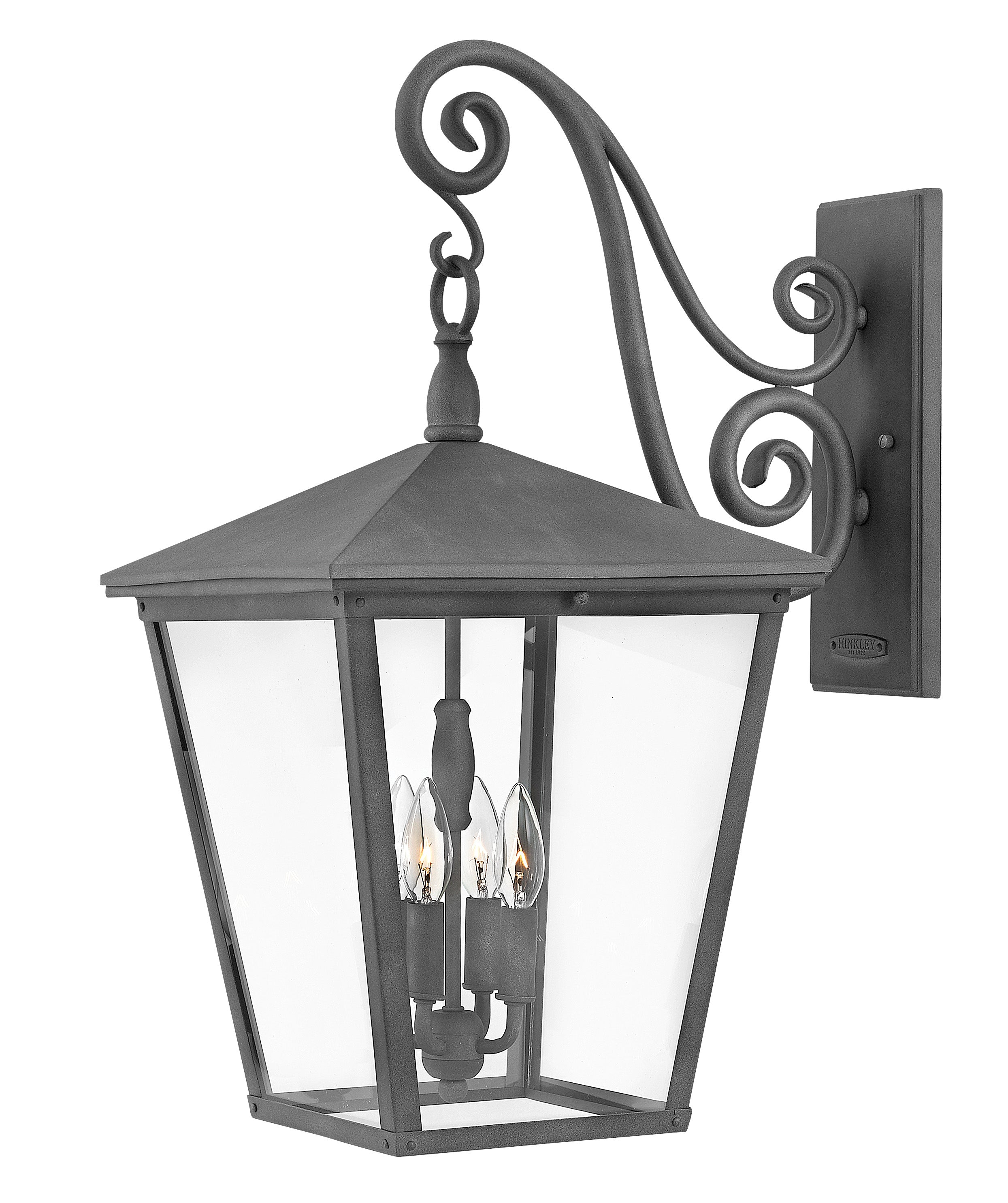 TRELLIS Outdoor sconce Black - 1438DZ | HINKLEY