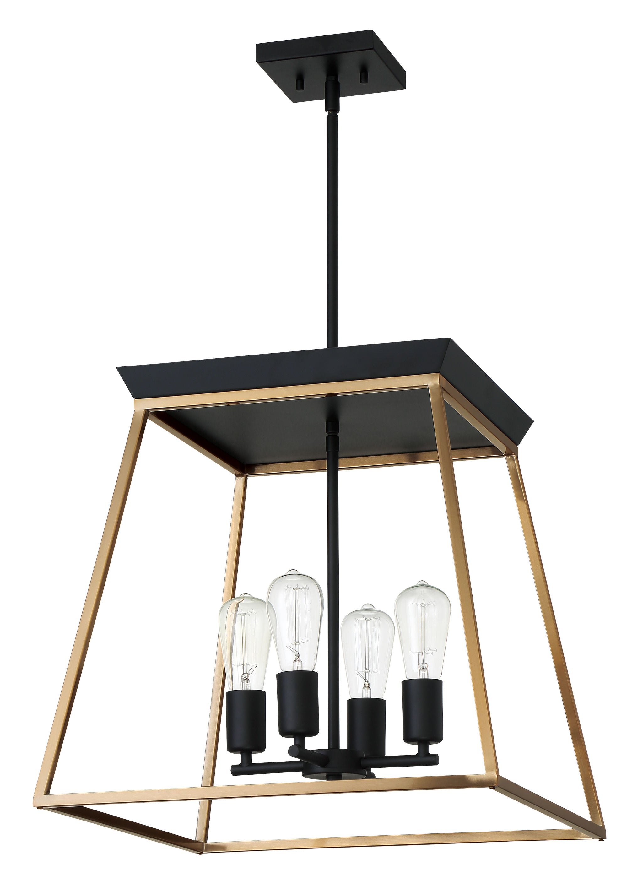 Paulino Chandelier Noir, Or - 204595A | EGLO
