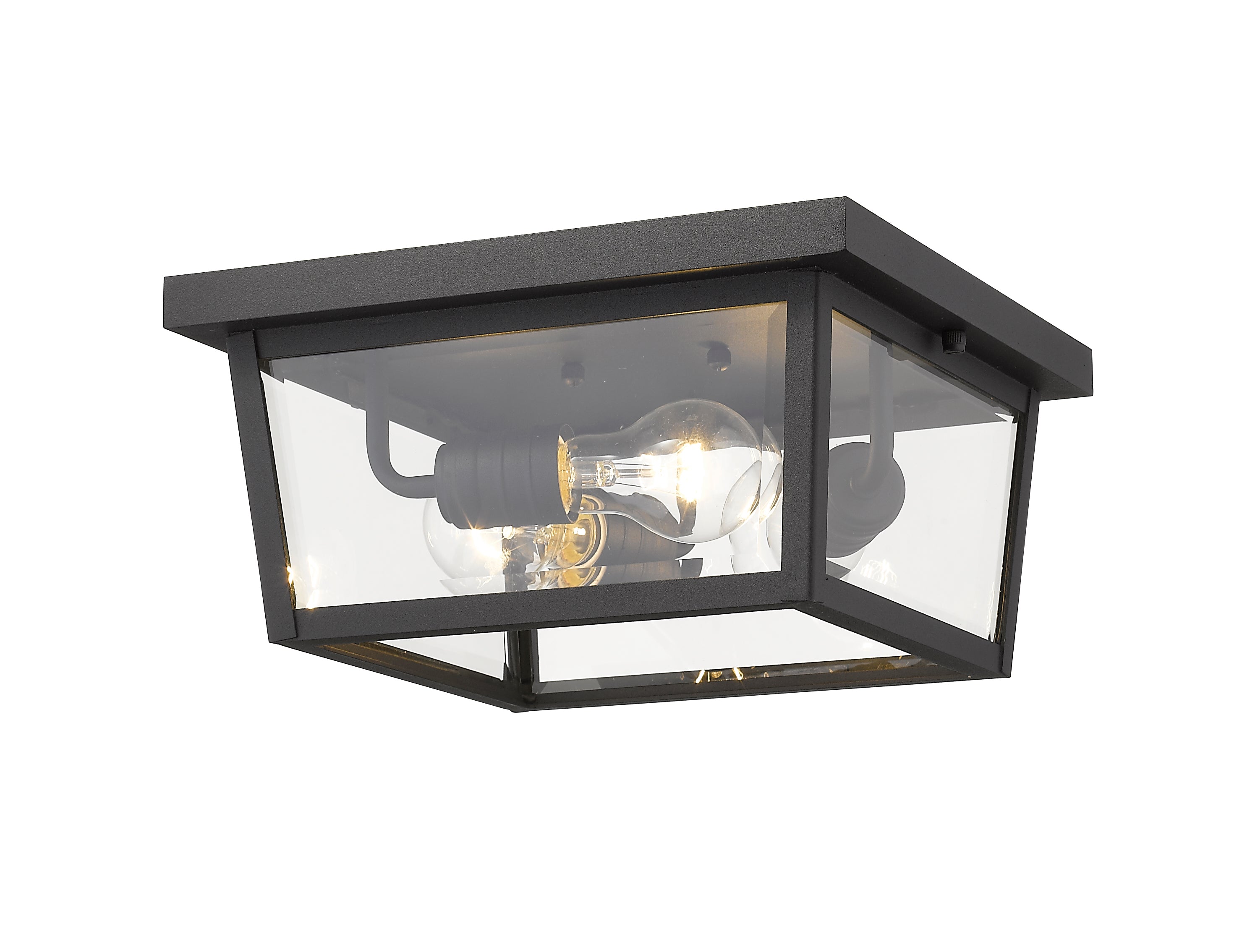 BEACON Plafonnier exterieur Noir - 568F-BK | Z-LITE