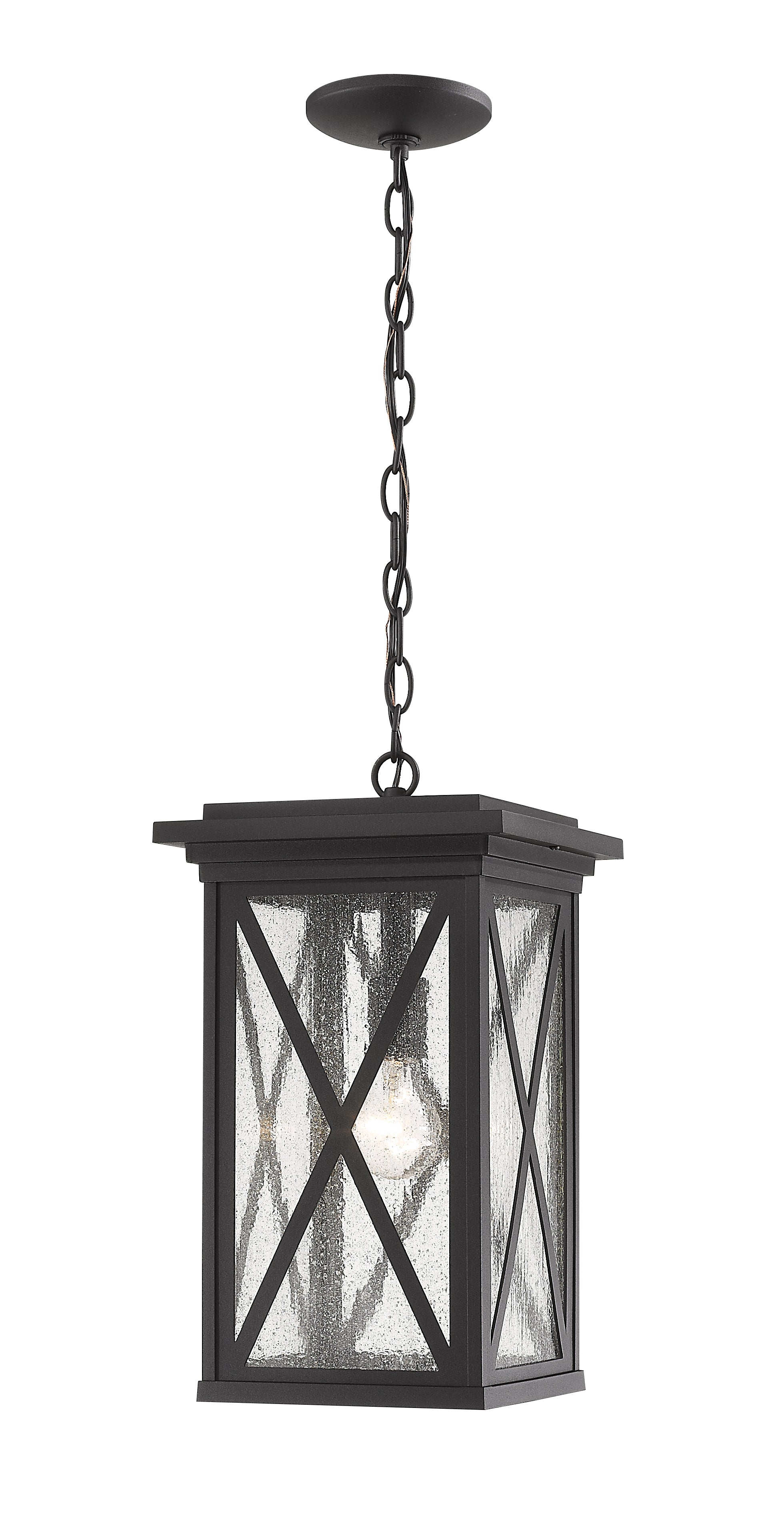BROOKSIDE Outdoor pendant Black - 583CHB-BK | Z-LITE