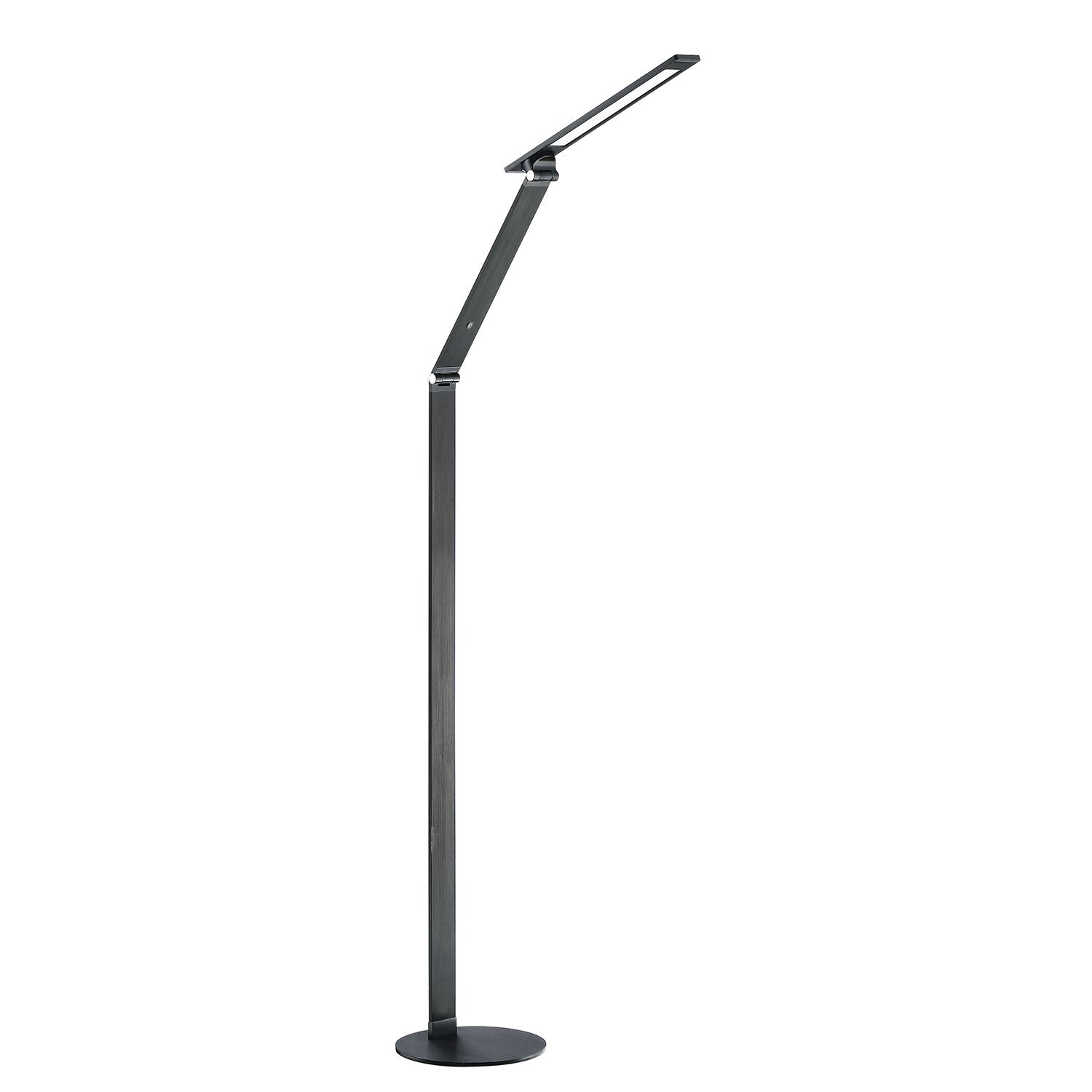 JEXX Lampe sur pied Noir DEL INTÉGRÉ - FL5002-BLK | KENDAL
