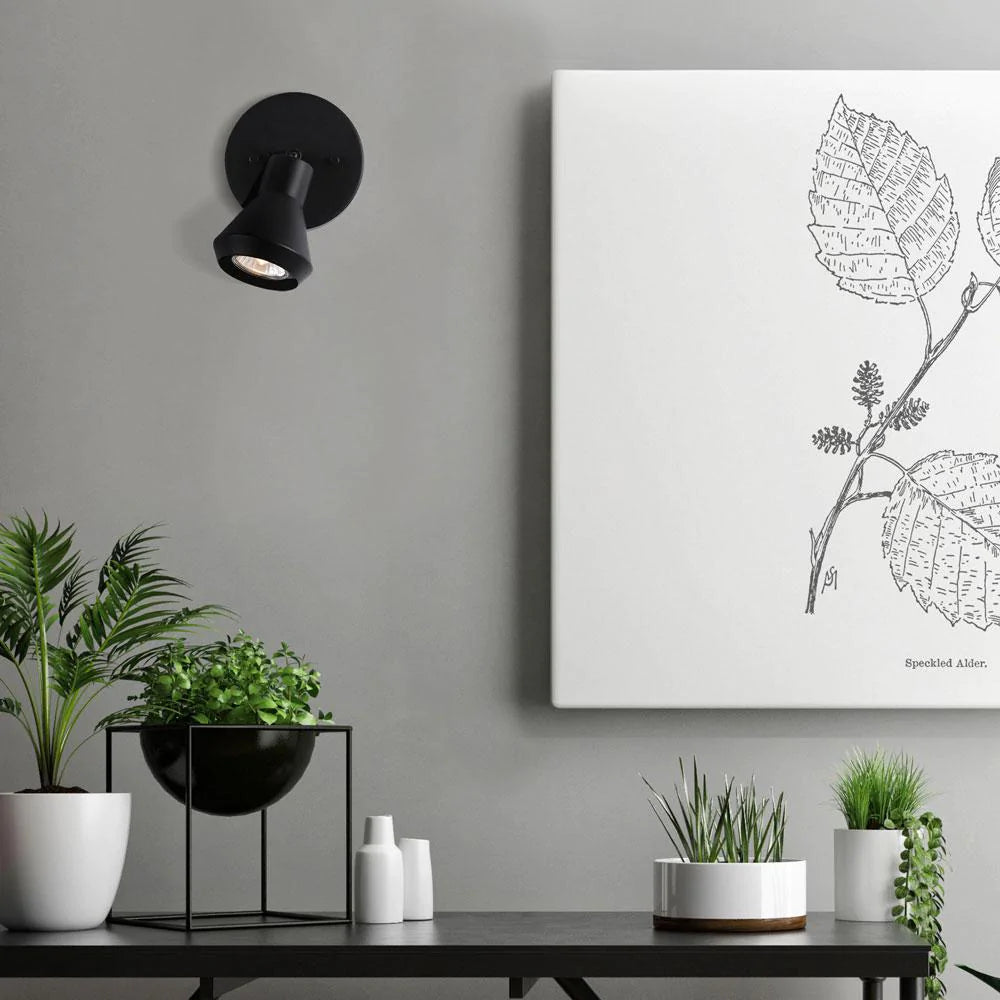 BYCK Projecteur Noir - ICW1020A01BK10 | CANARM