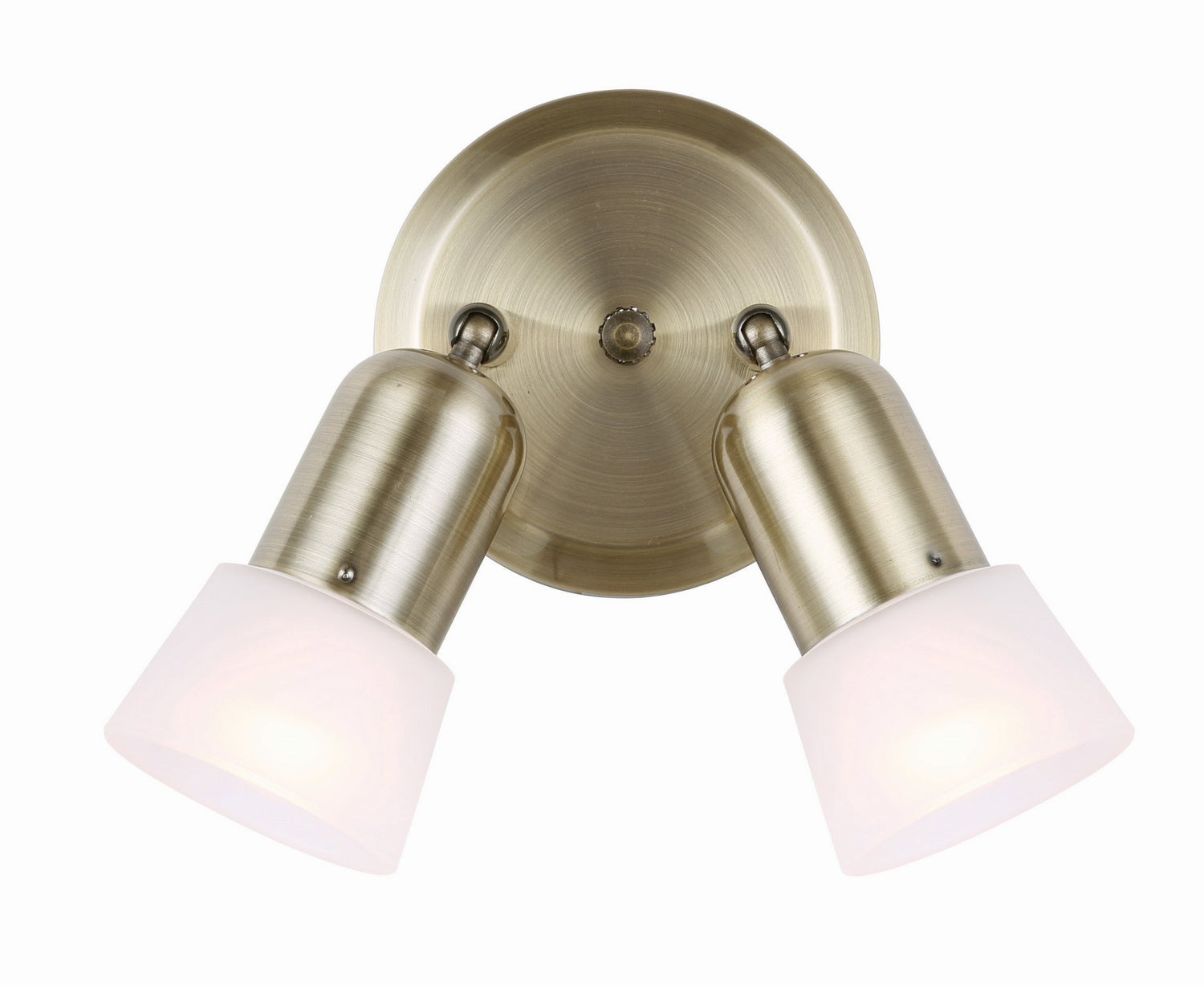 Plafonnier ou applique 2 lumières | Omni