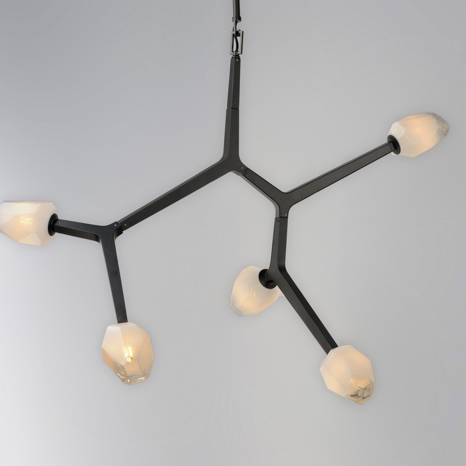 Suspension DEL | Blossom