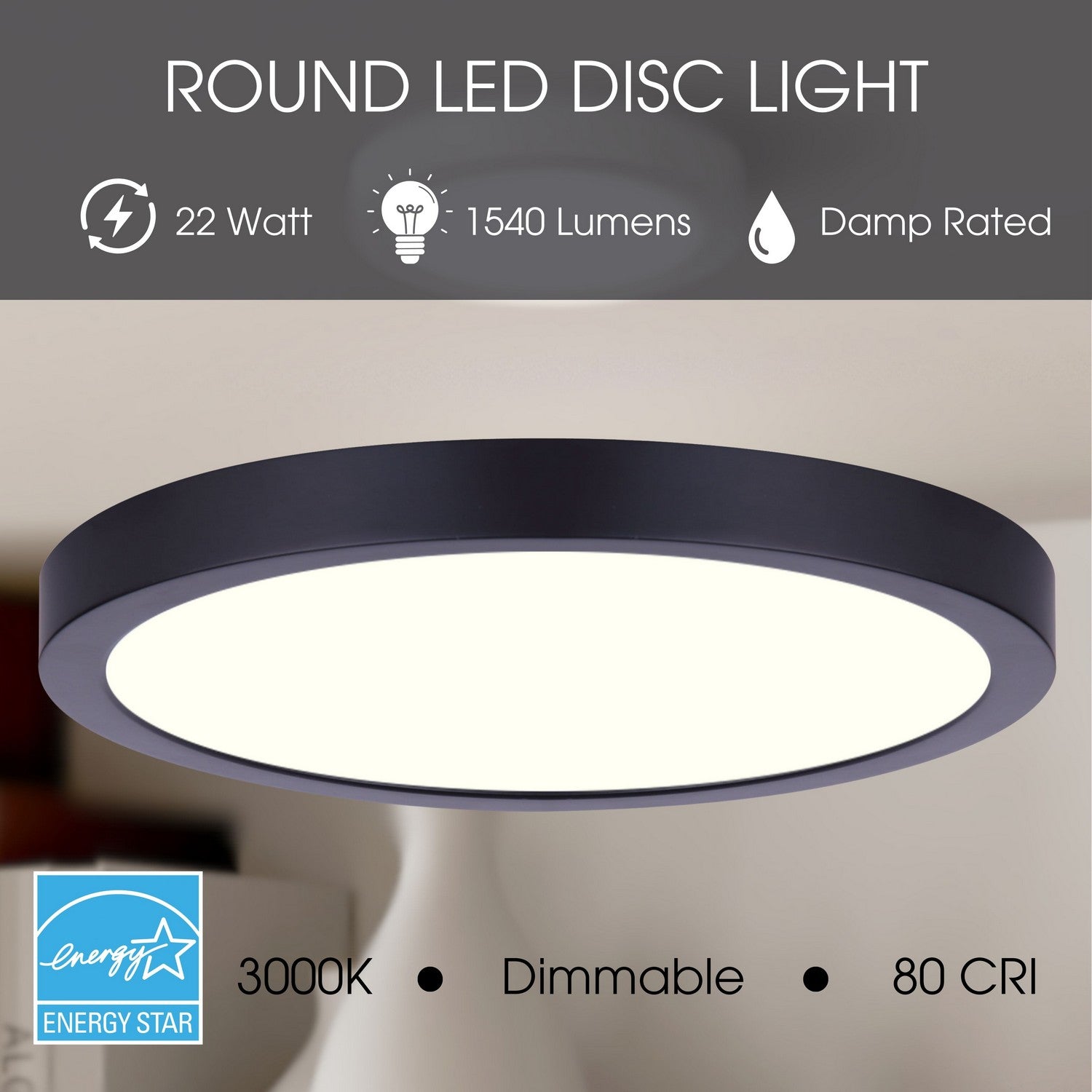 Plafonnier disque DEL | Led Disk Light