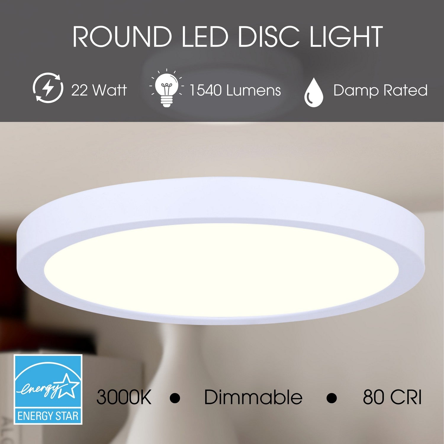 Plafonnier disque DEL | Led Disk Light
