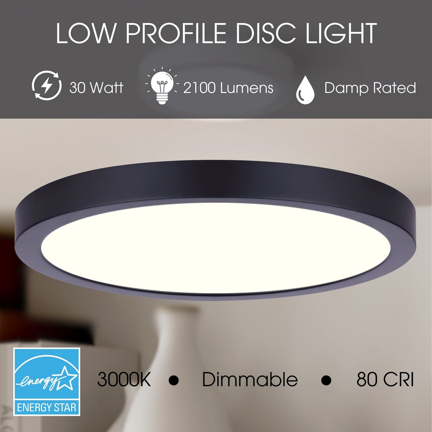 Plafonnier disque DEL | Led Disk Light