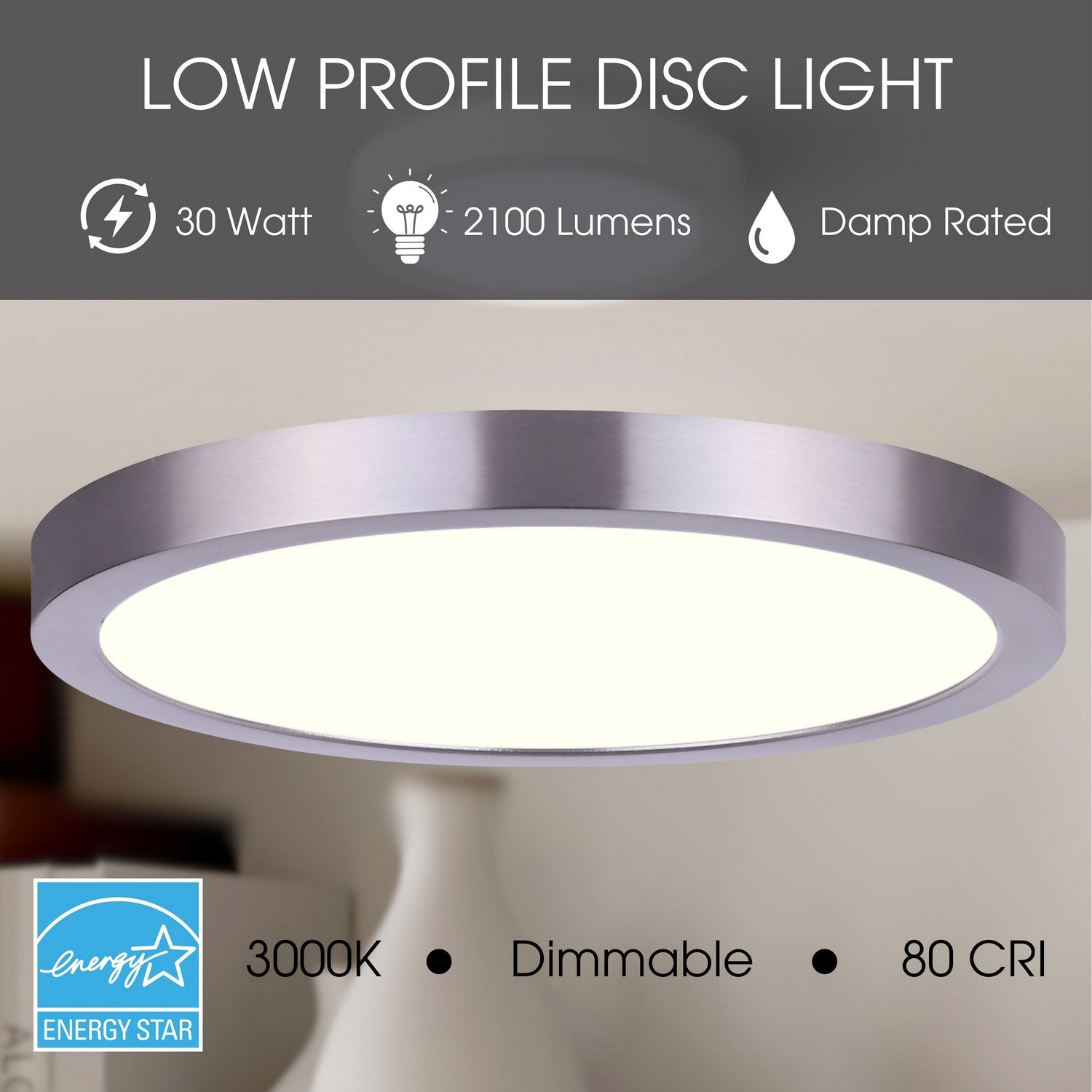 Plafonnier disque DEL | Led Disk Light