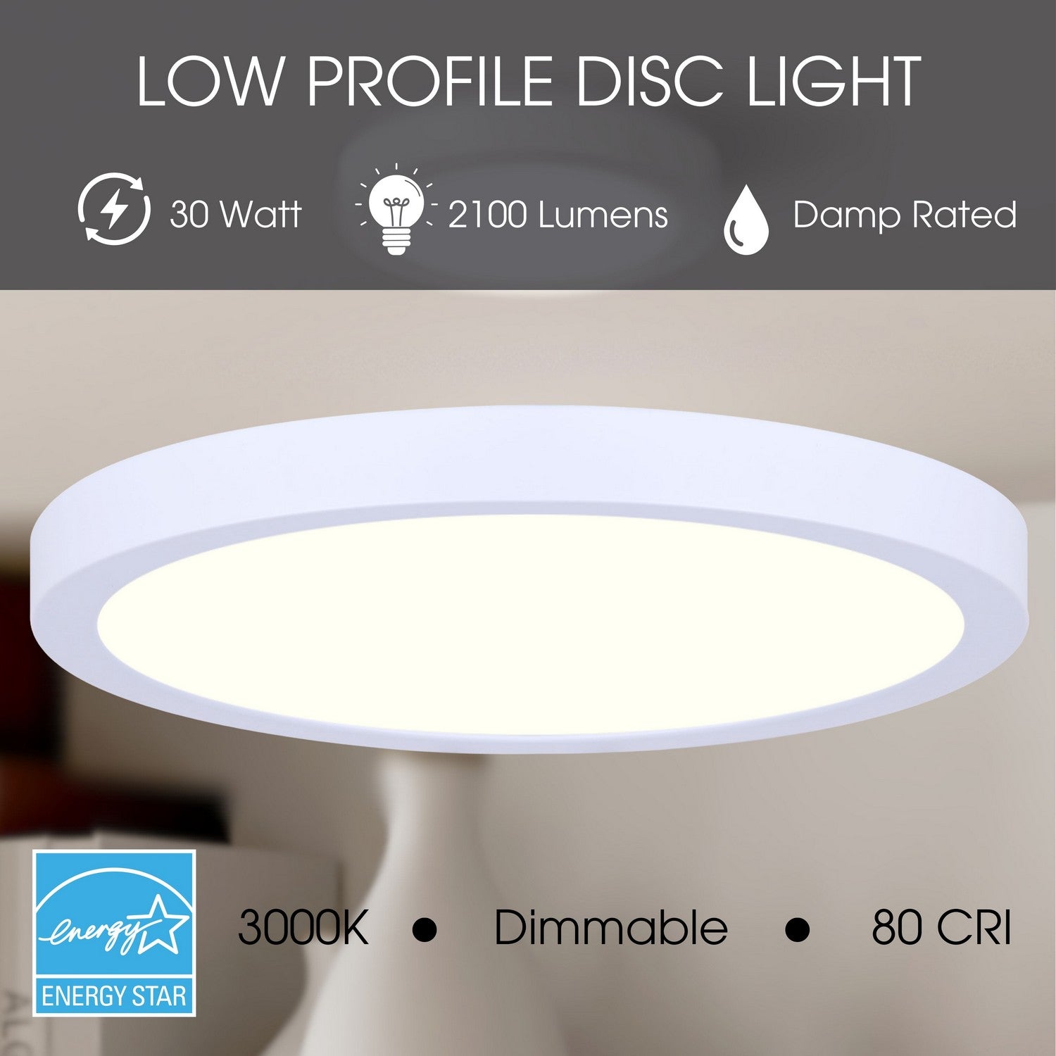 Plafonnier disque DEL | Led Disk Light