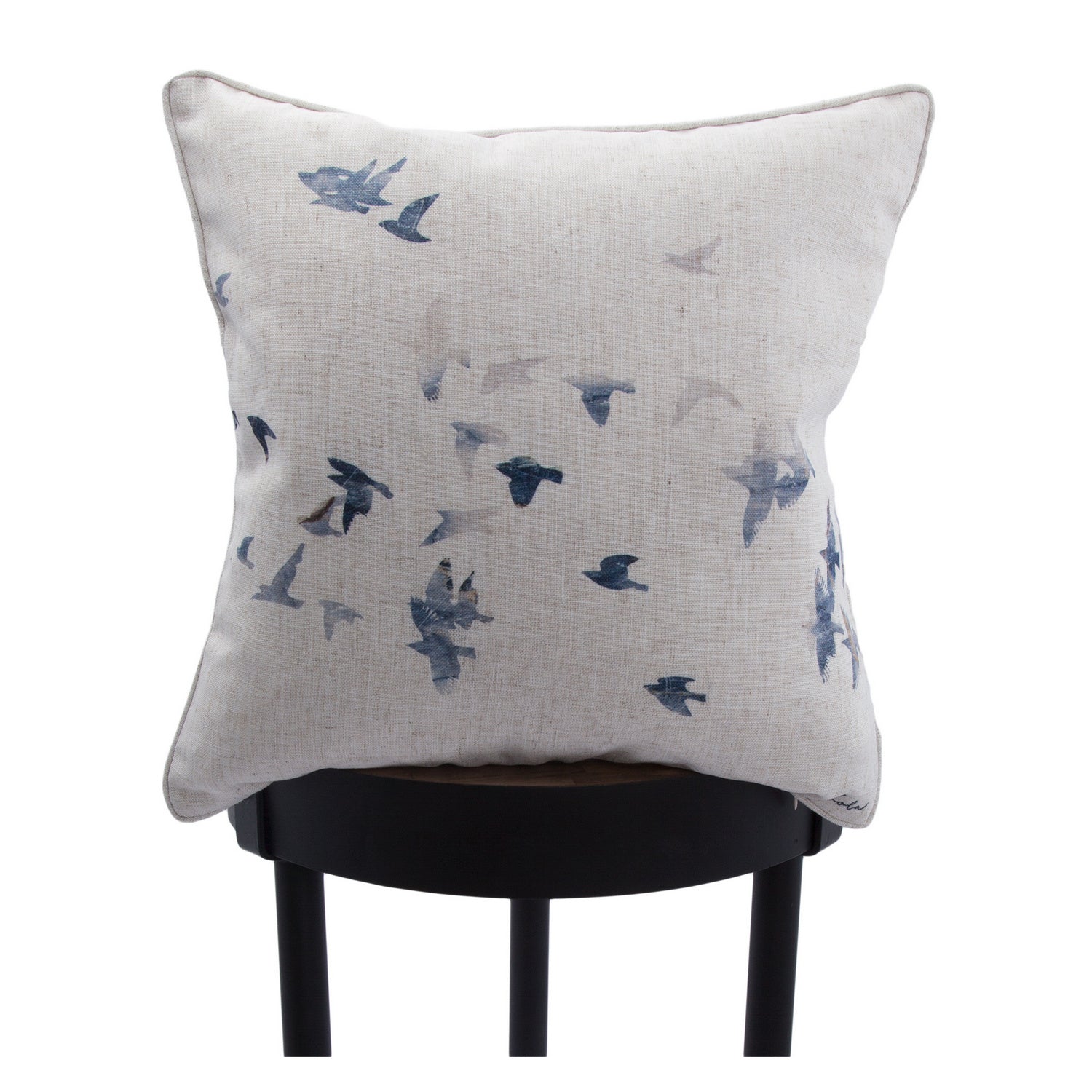 Coussin | Flight