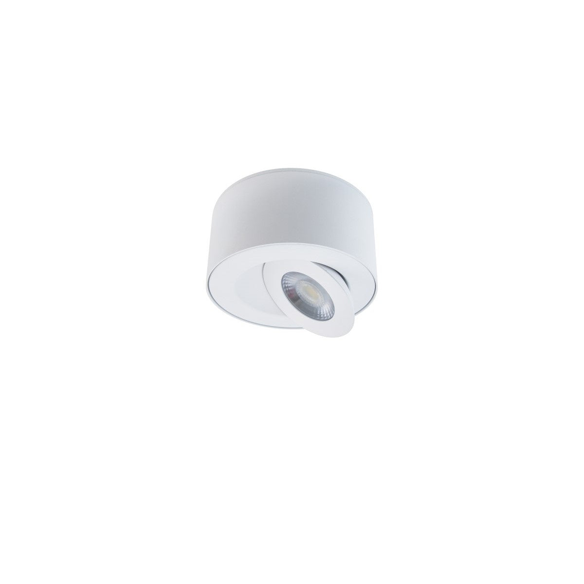 Outdoor Flush Mount DEL | I Spy