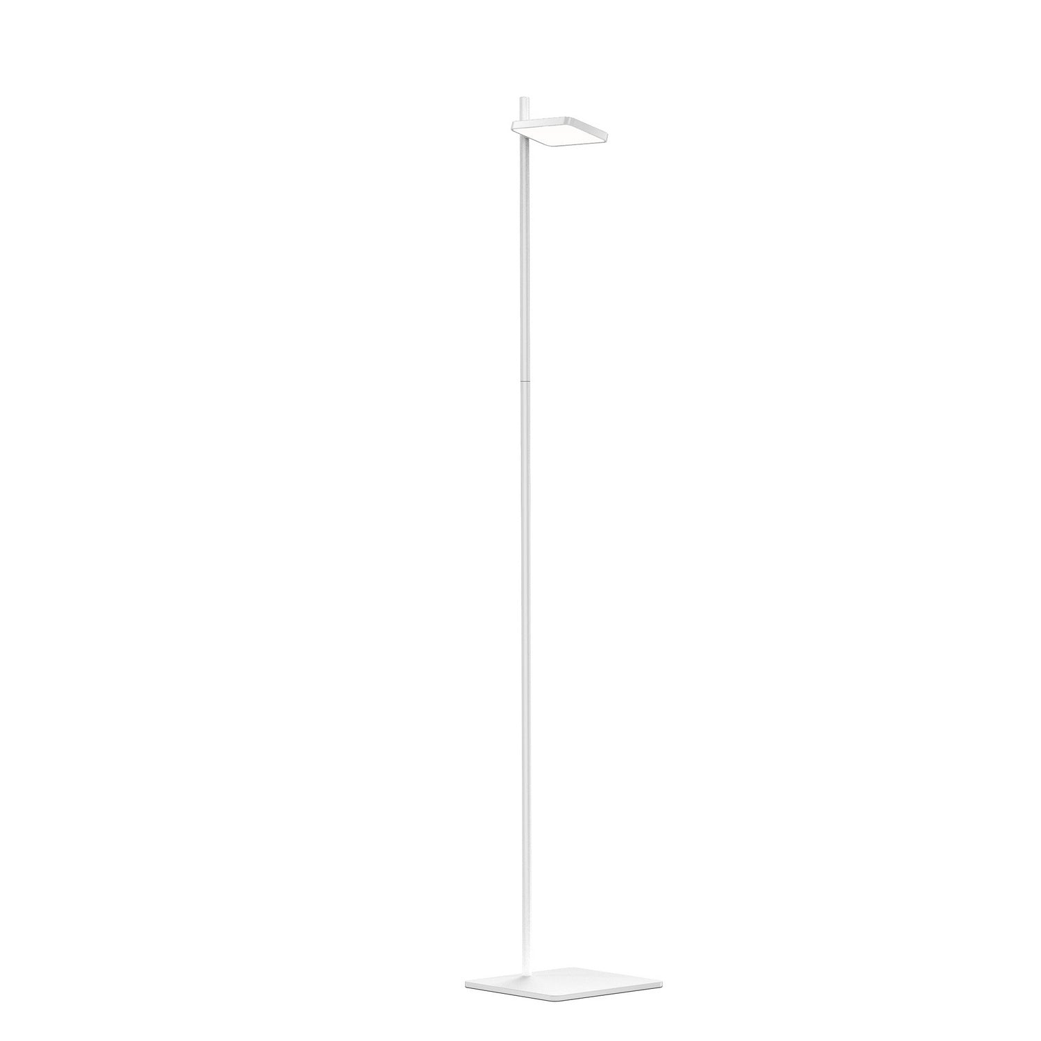 Lampadaire DEL | Talia