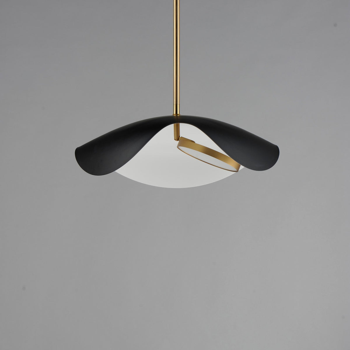 Suspension DEL | Carmen