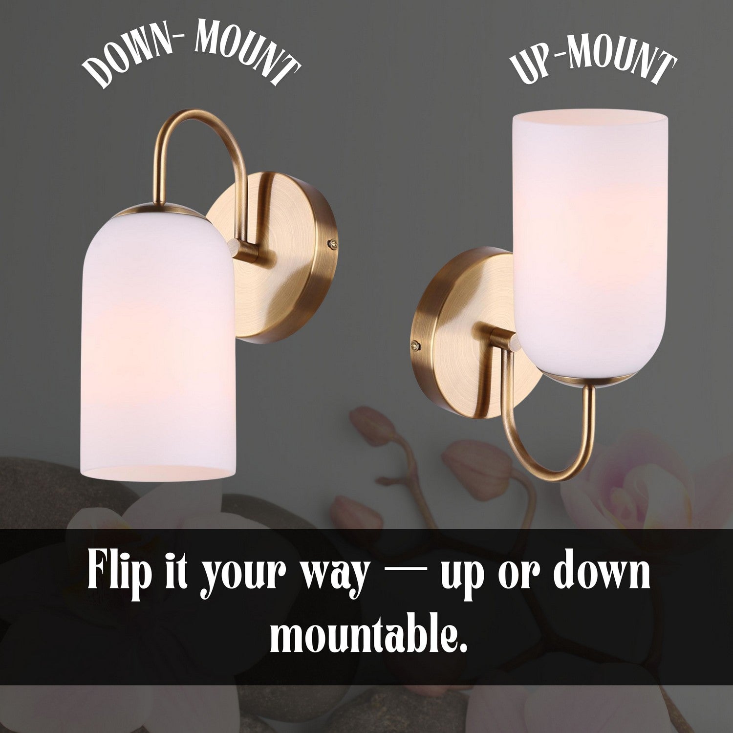 Applique de vanité 1 lumière | Novalee