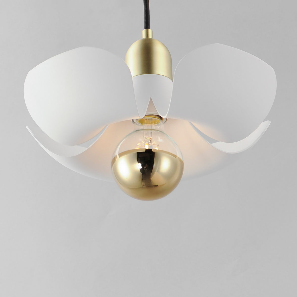 Suspension DEL | Poppy