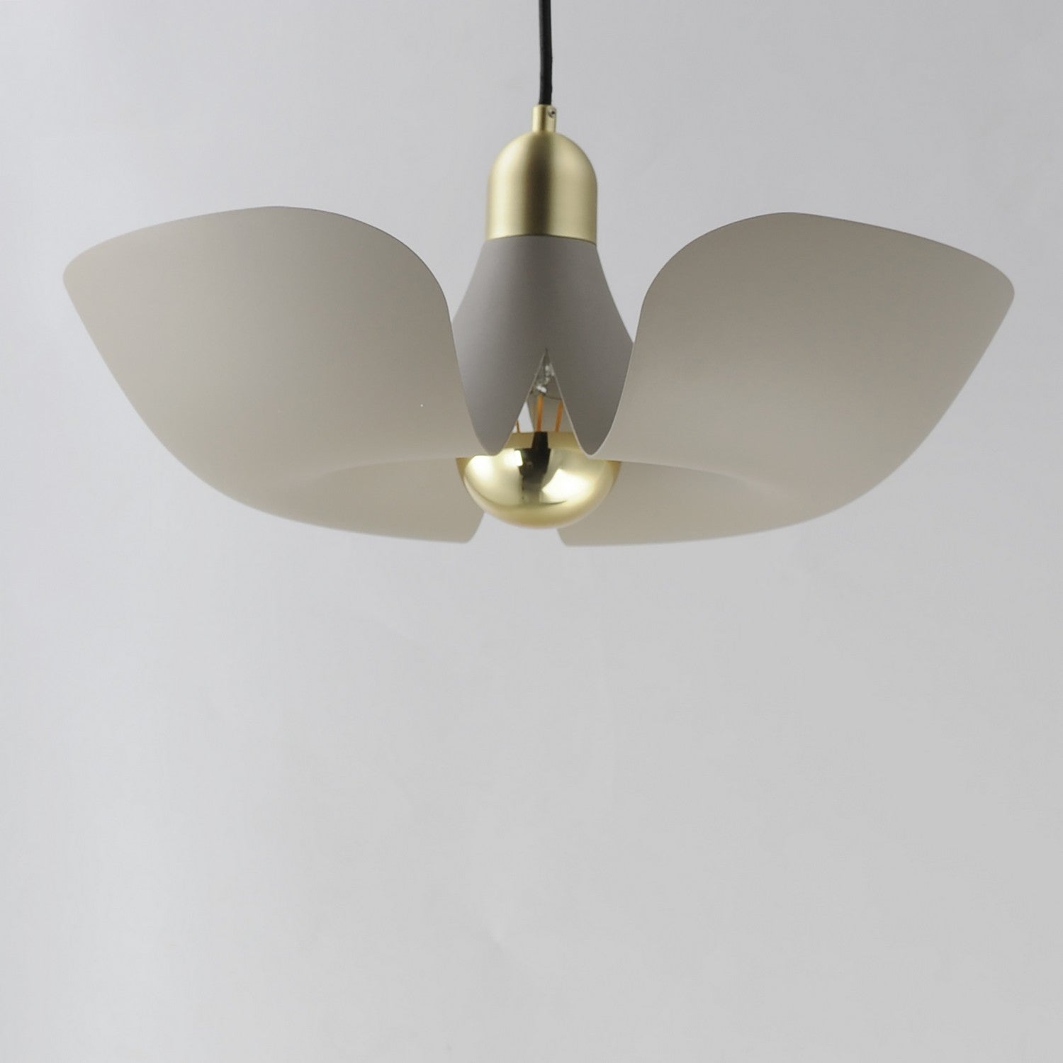 Suspension DEL | Poppy