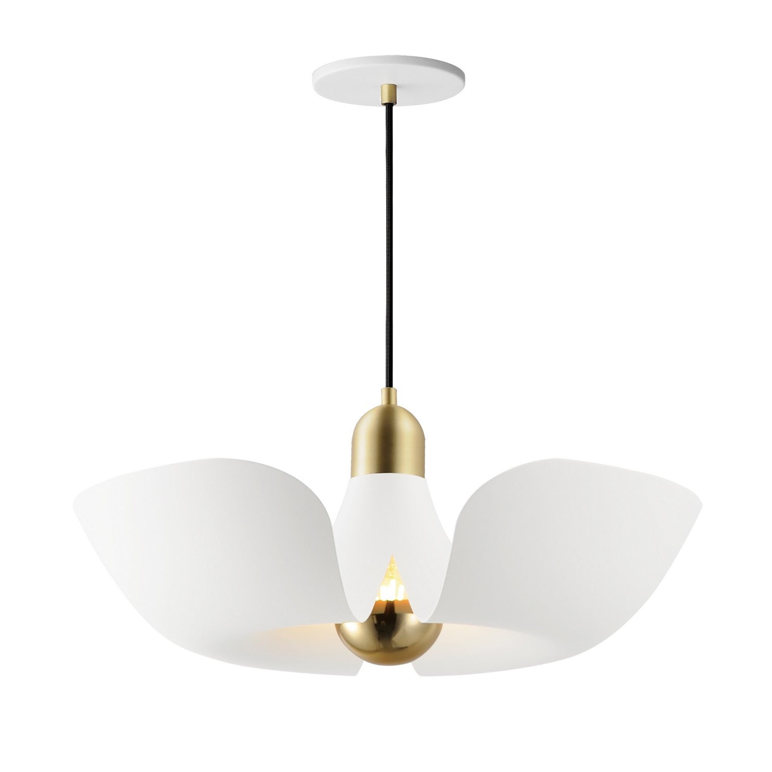Suspension DEL | Poppy