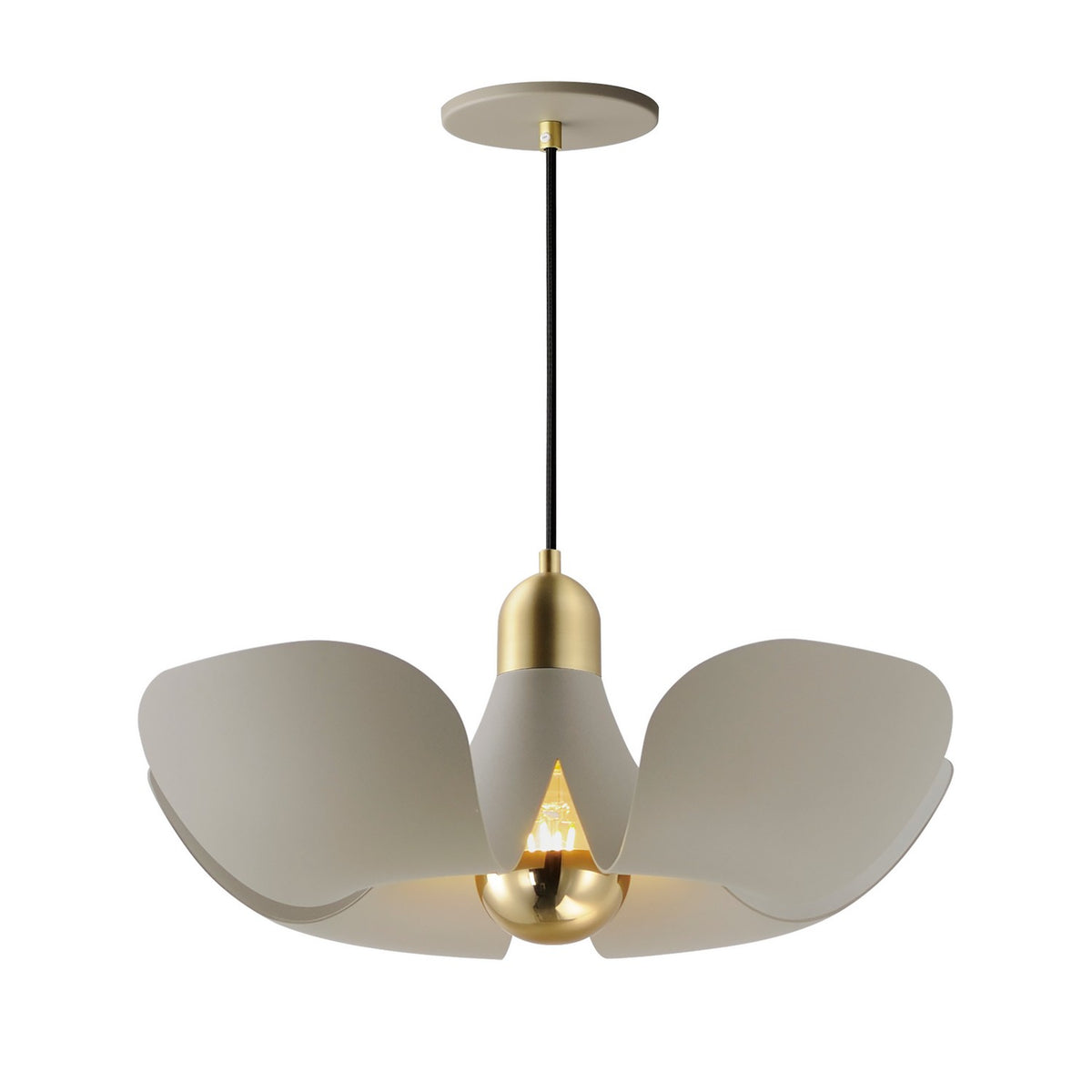 Suspension DEL | Poppy