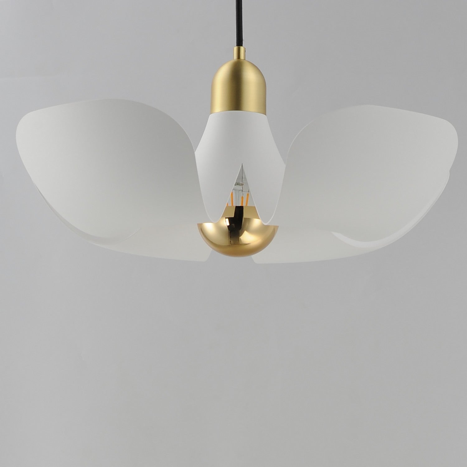 Suspension DEL | Poppy