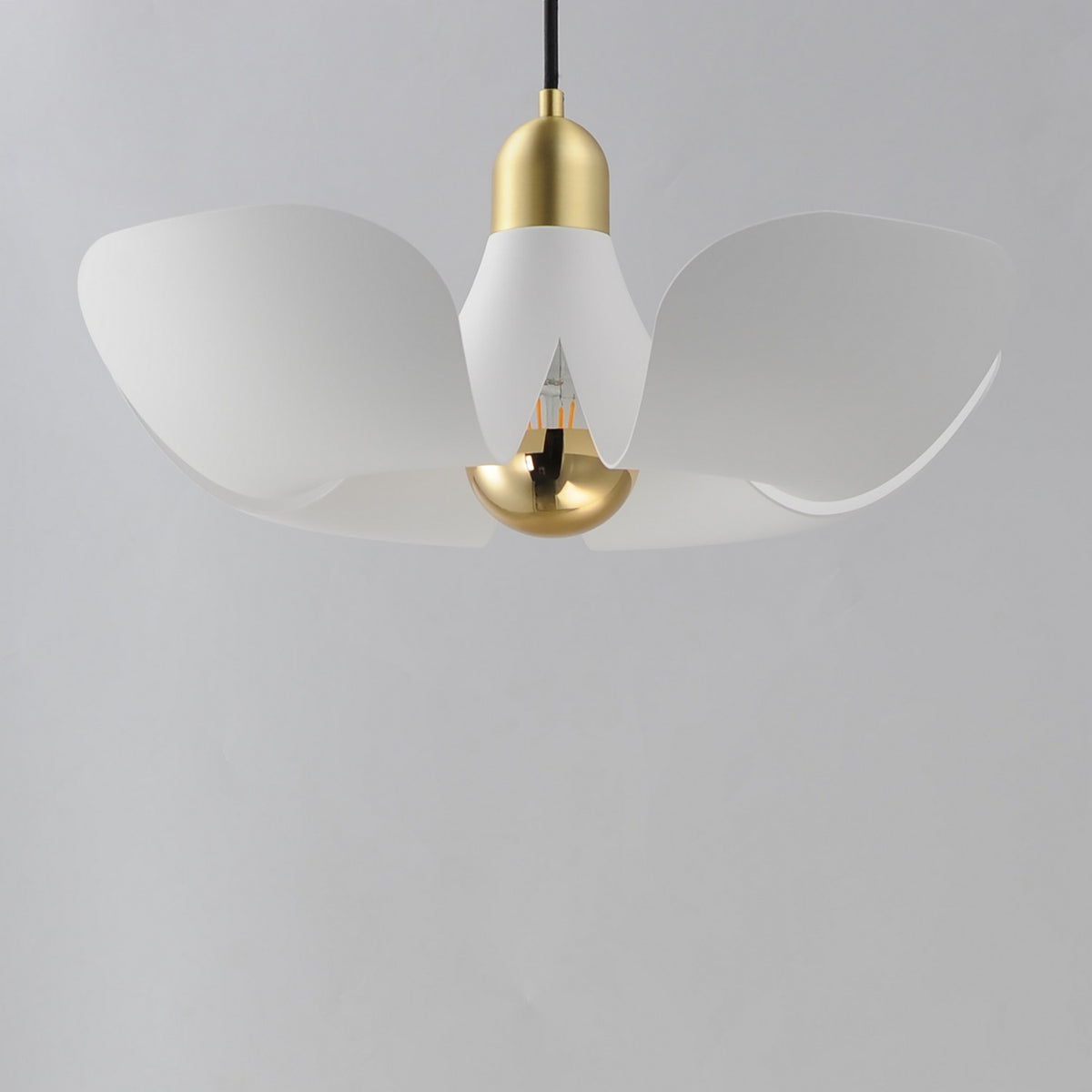 Suspension DEL | Poppy