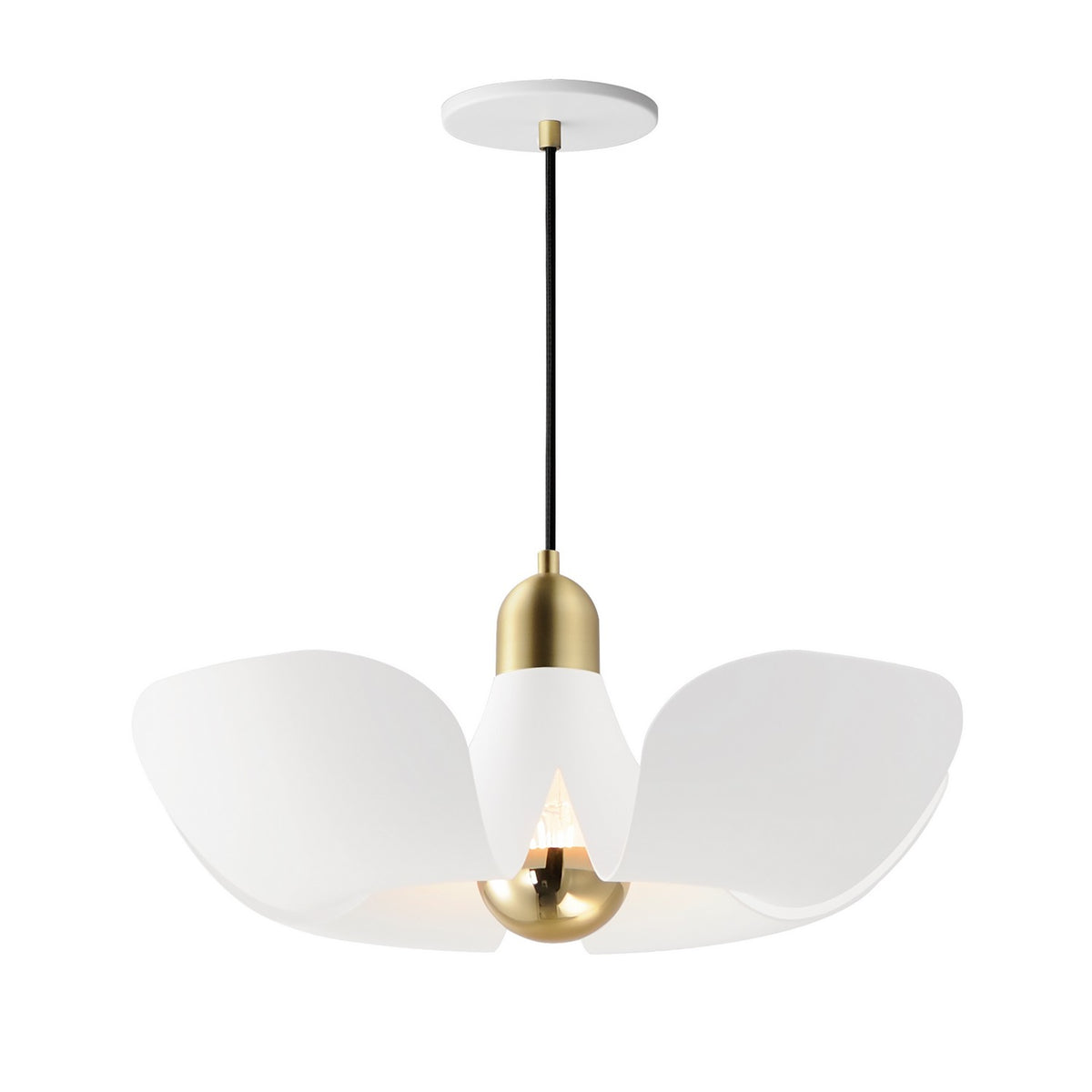 Suspension DEL | Poppy