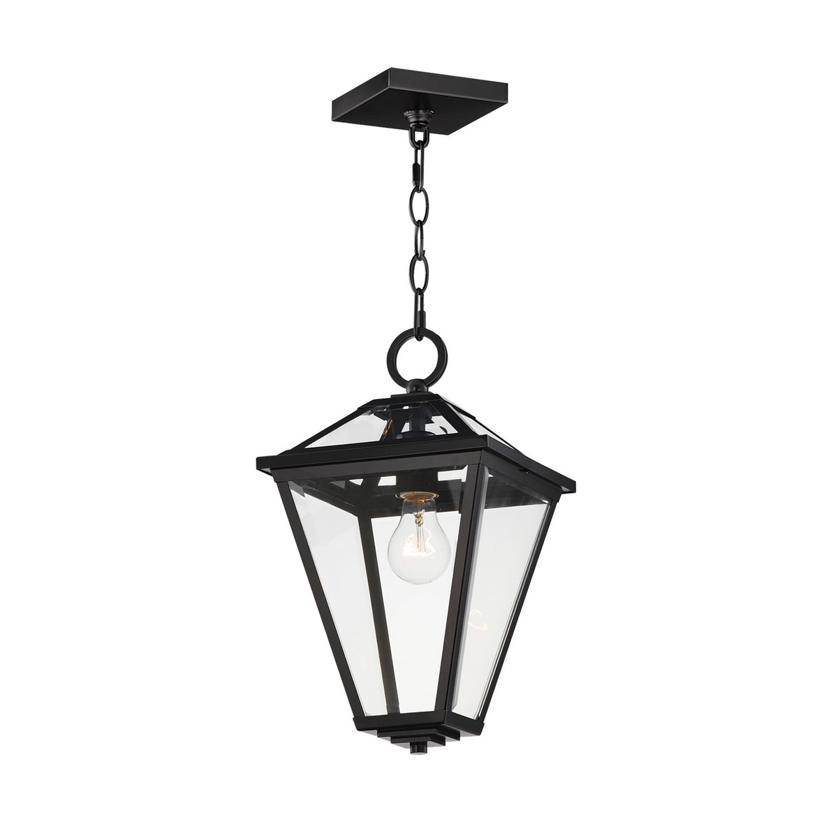 Maxim - Suspension extérieure 1 lumière | Prism - 30569CLBK