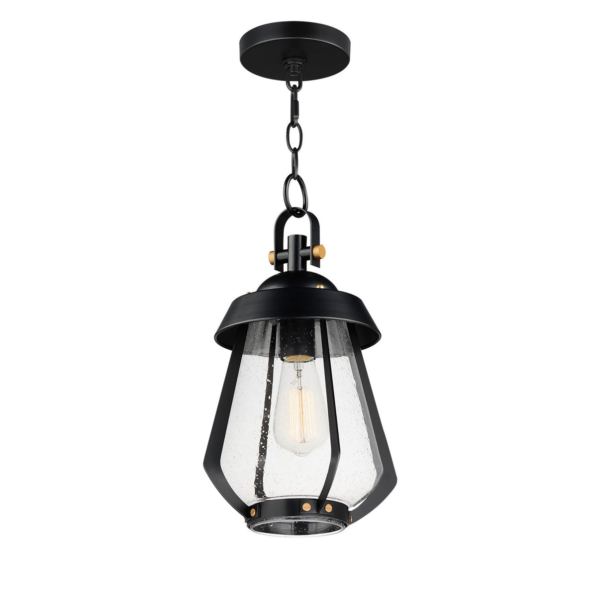 Maxim - Suspension extérieure 1 lumière | Mariner - 30621CDBKAB