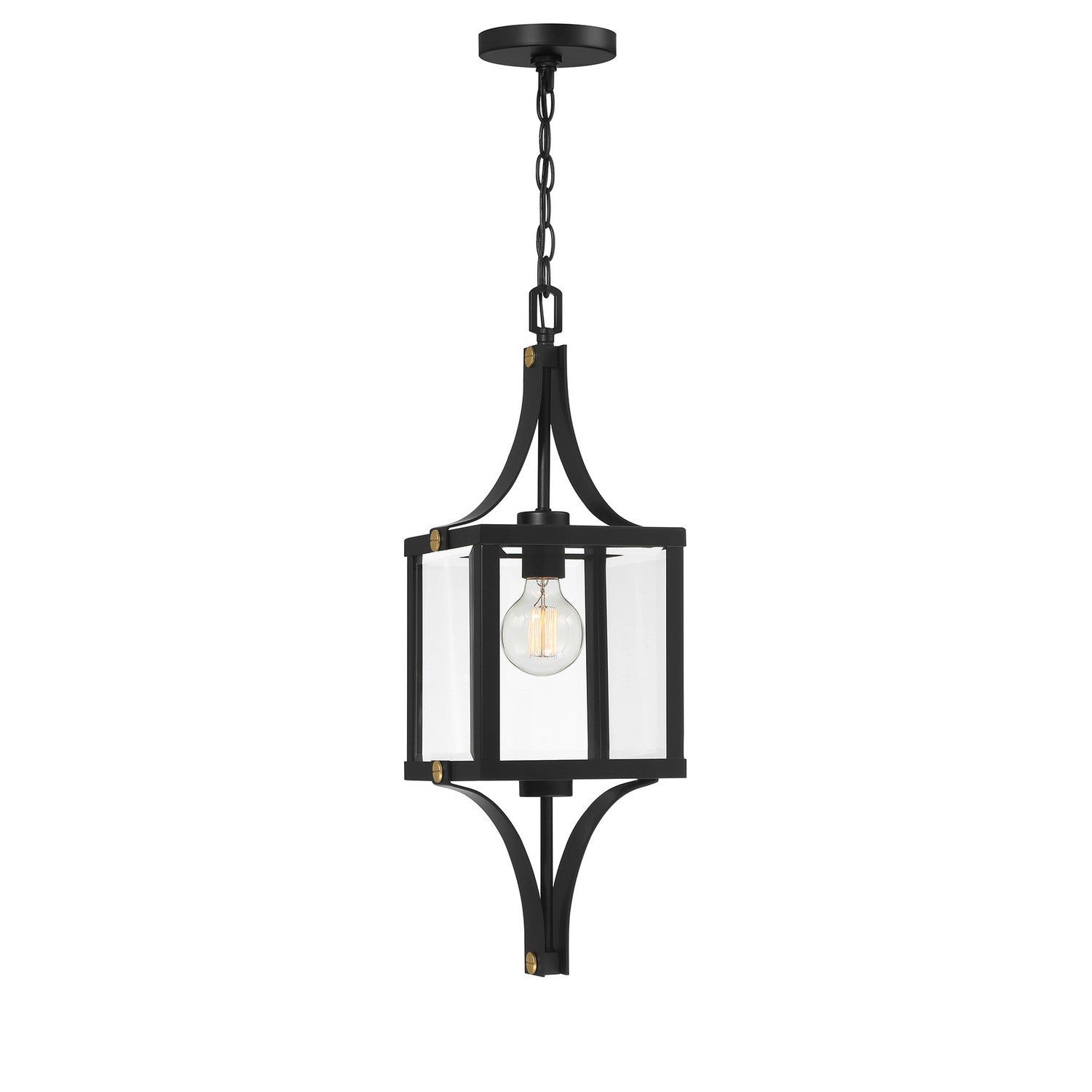 Lanterne suspendue extérieure 1 lumière | Raeburn
