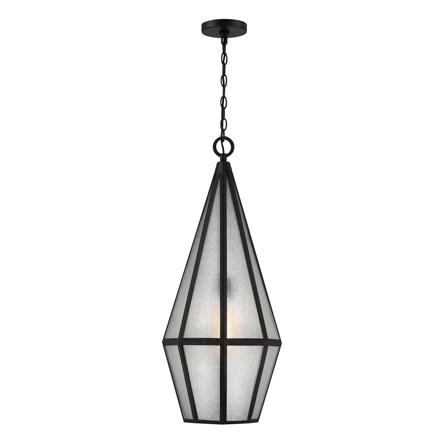 Lanterne suspendue extérieure 1 lumière | Peninsula