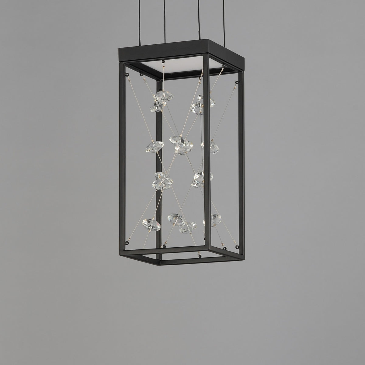 Suspension DEL | Entanglement