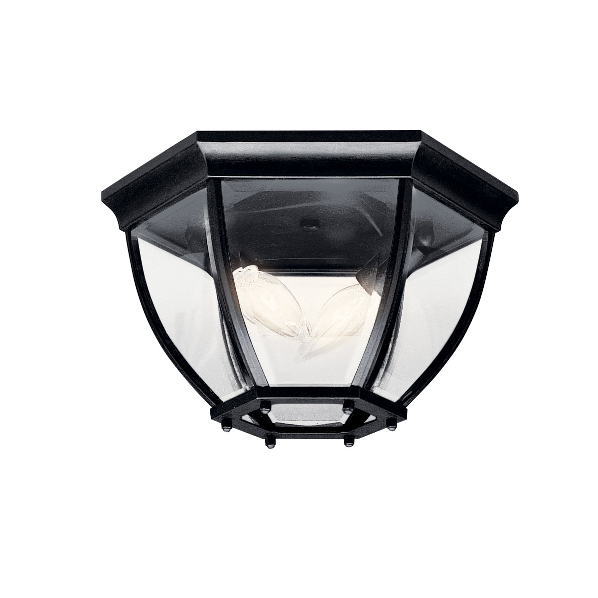 Plafonnier extérieur 2 lumières