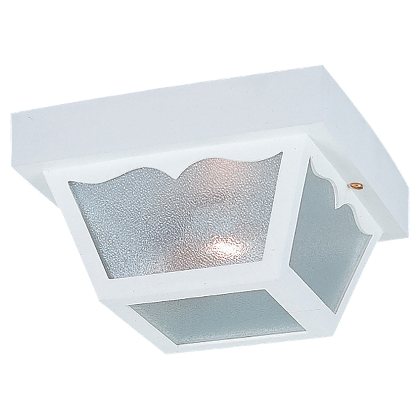 Plafonnier extérieur 2 lumières | Outdoor Ceiling